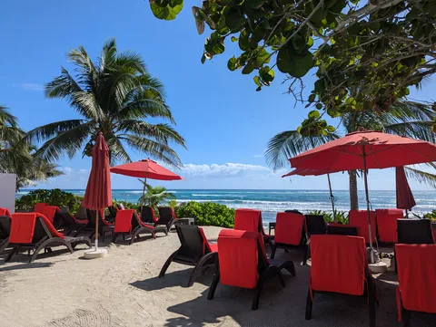 Jungle Fish Beach Club image 1
