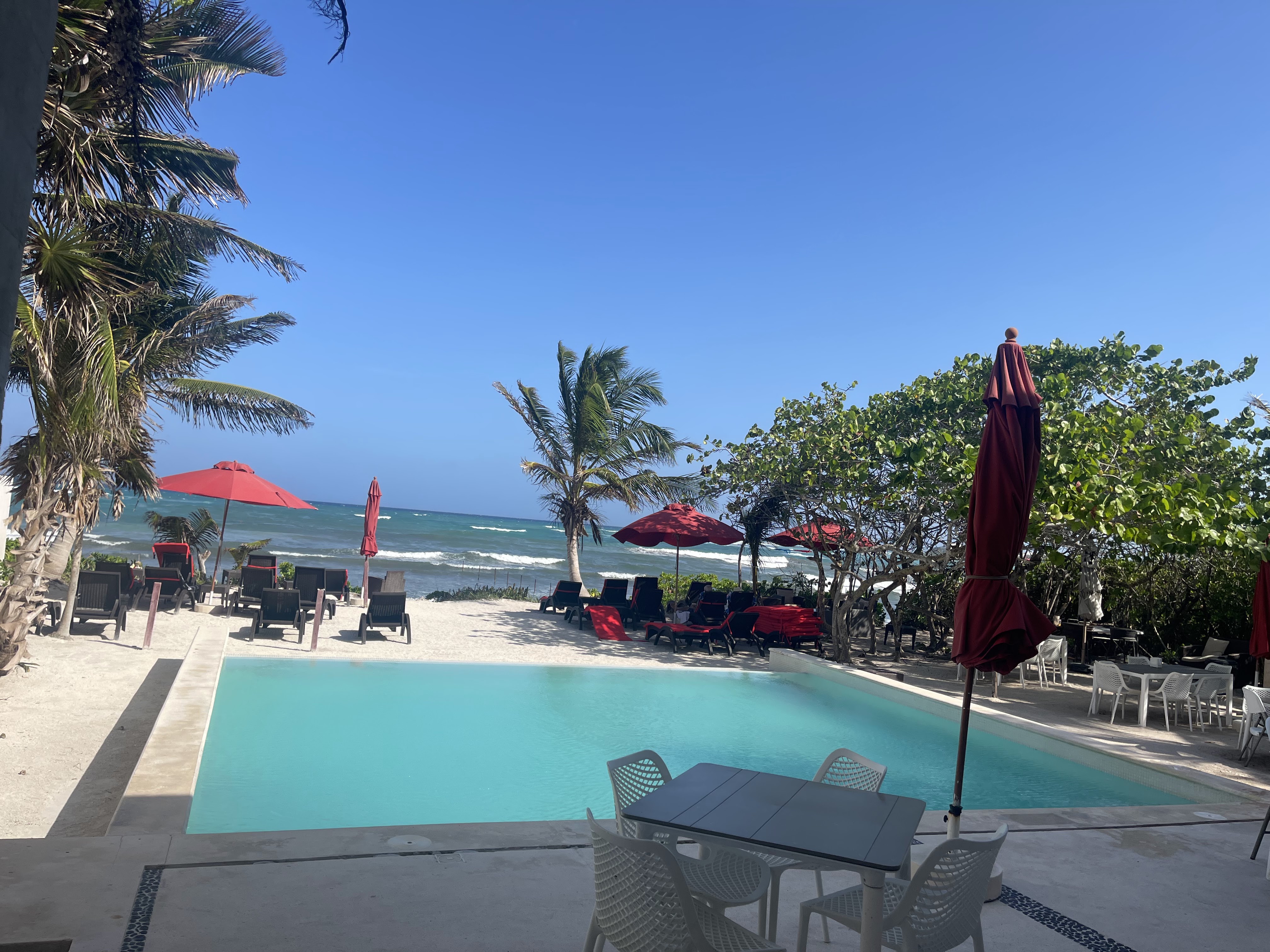 Jungle Fish Beach Club image 4