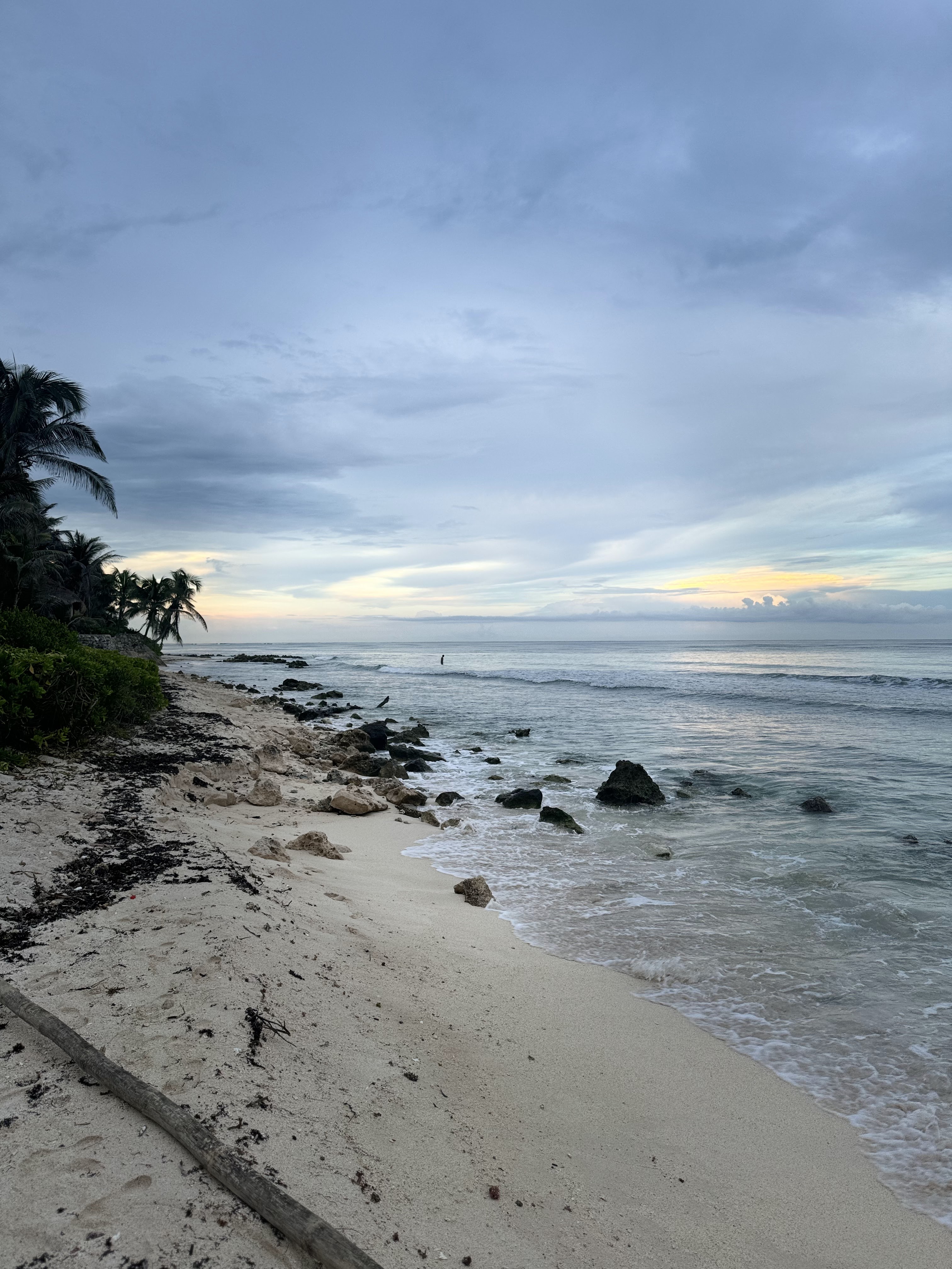 Jungle Fish Beach Club image 7