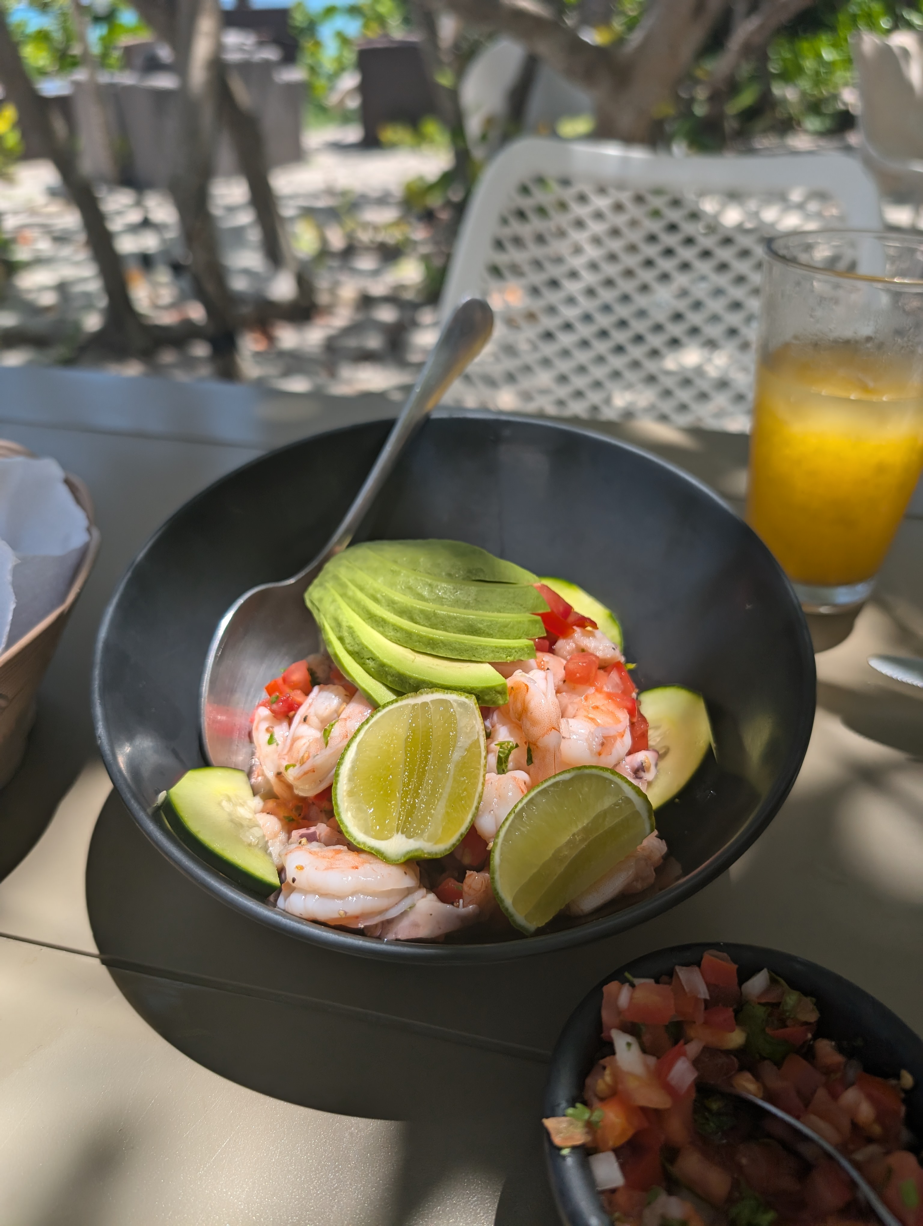 Jungle Fish Beach Club image 10