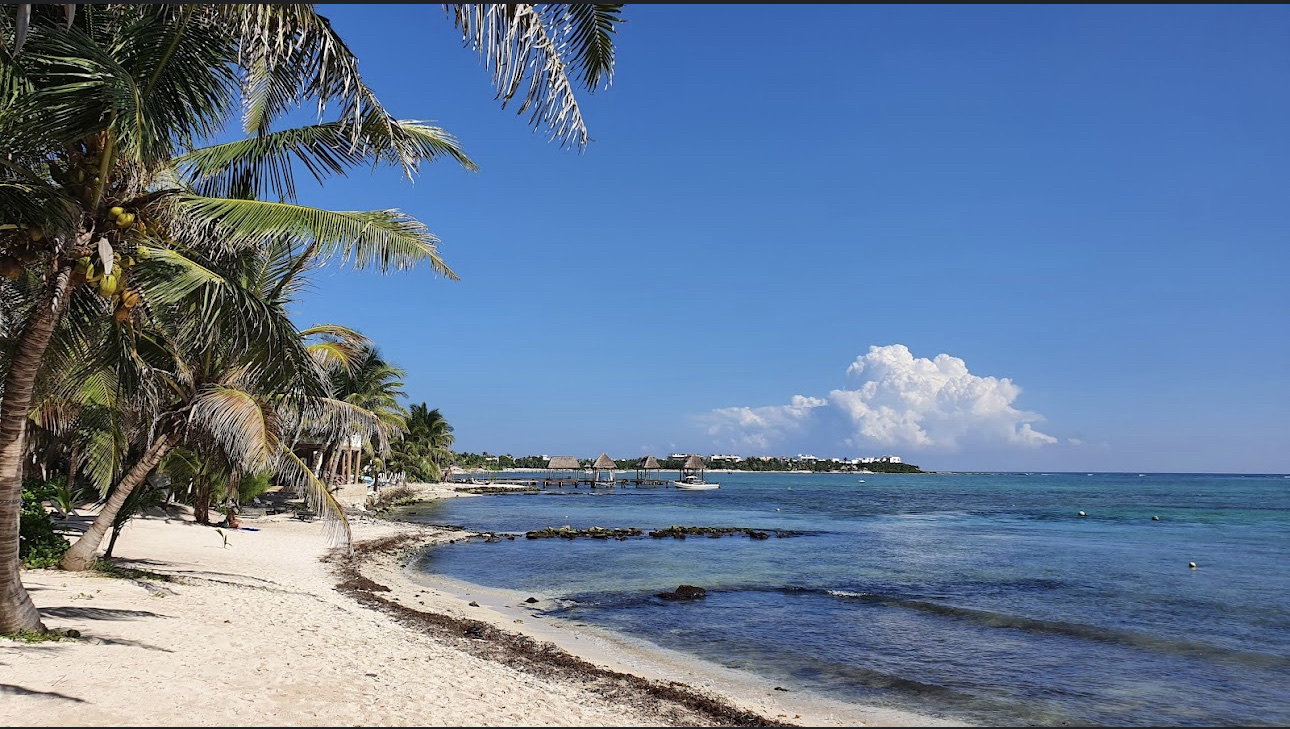 TZ'ONOT Restaurant image 4