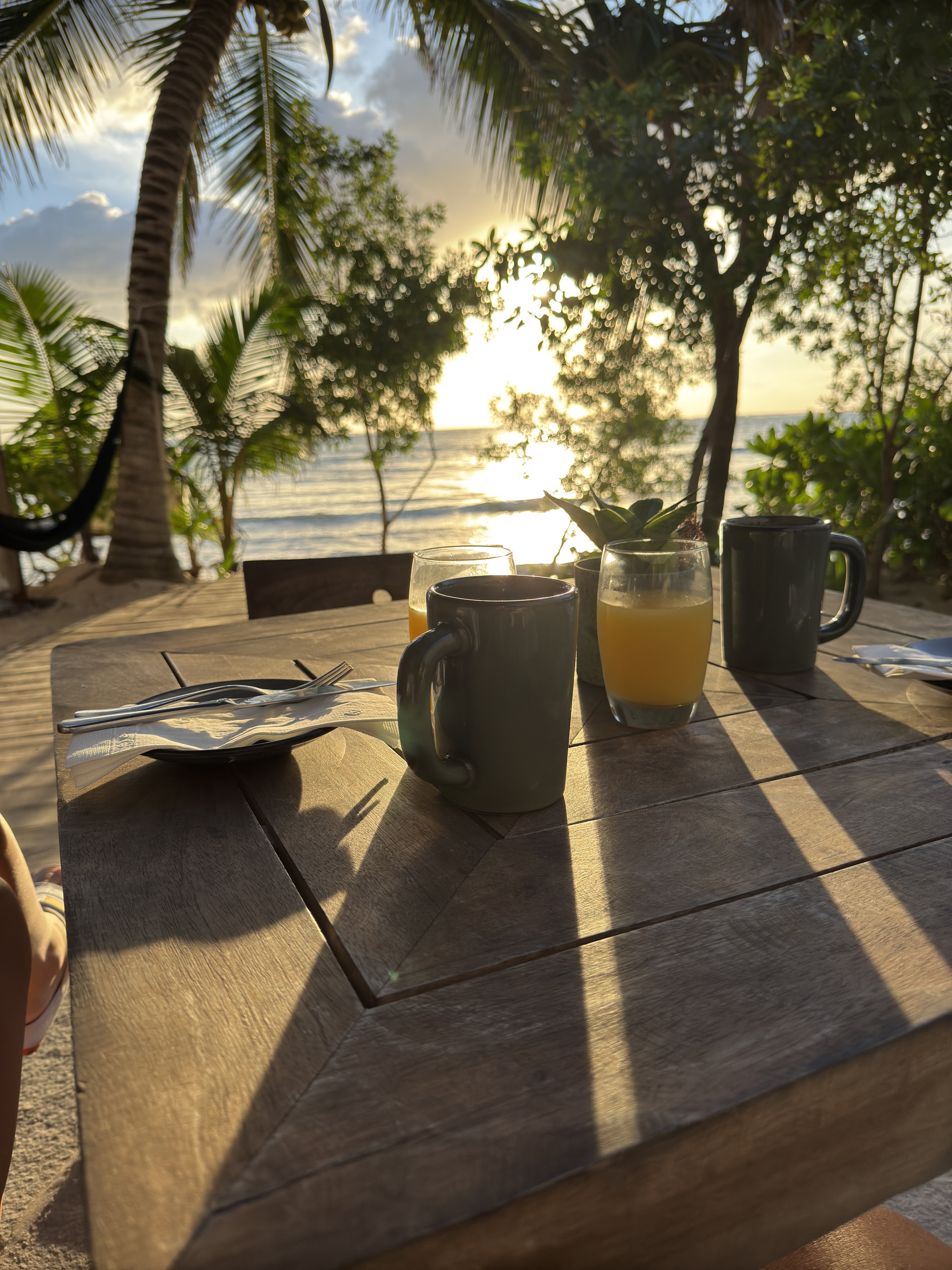 TZ'ONOT Restaurant image 5