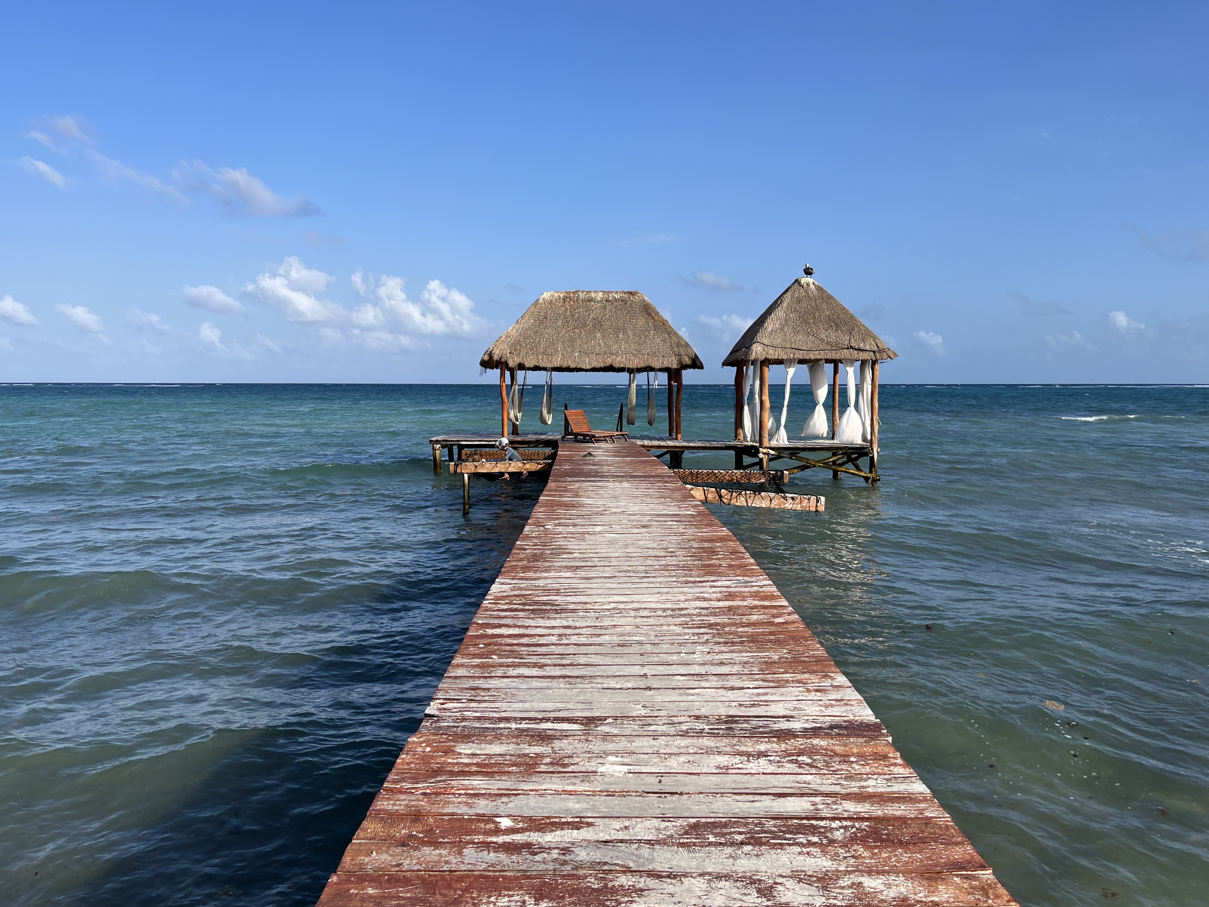 TZ'ONOT Restaurant image 9