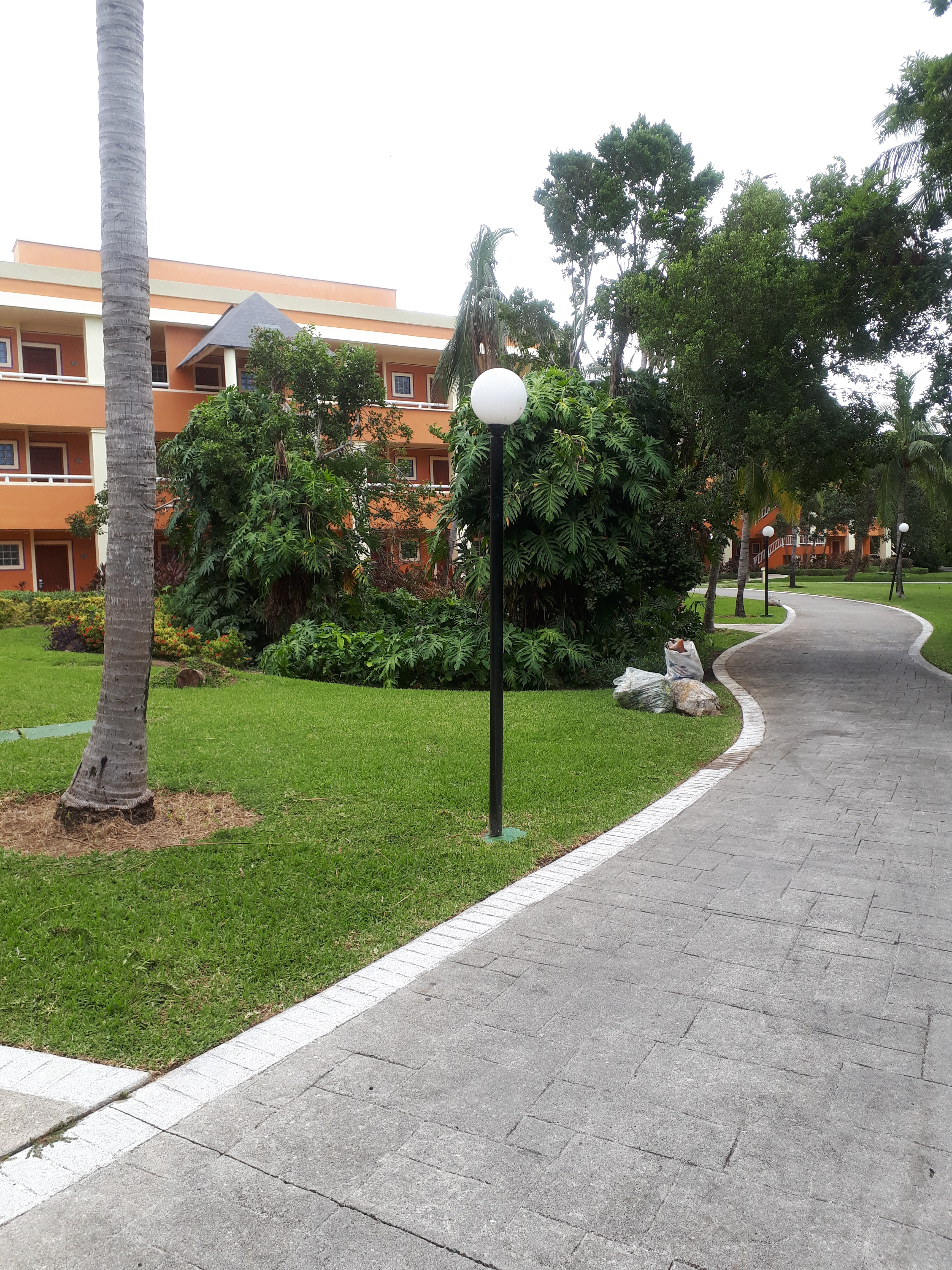 FOOD TRUCK Restaurant image 10