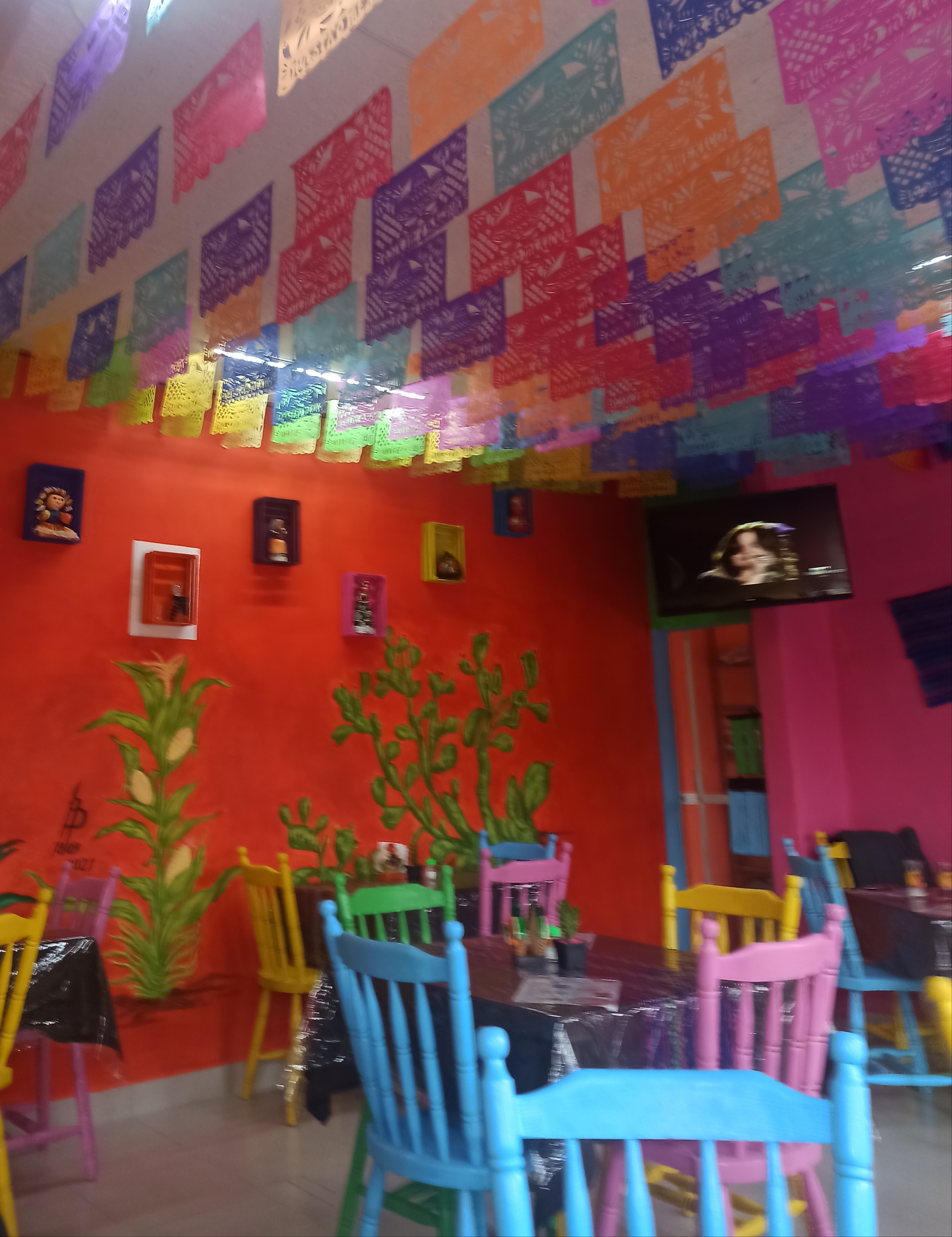 Nuestro México, enchiladas Huastecas image 5