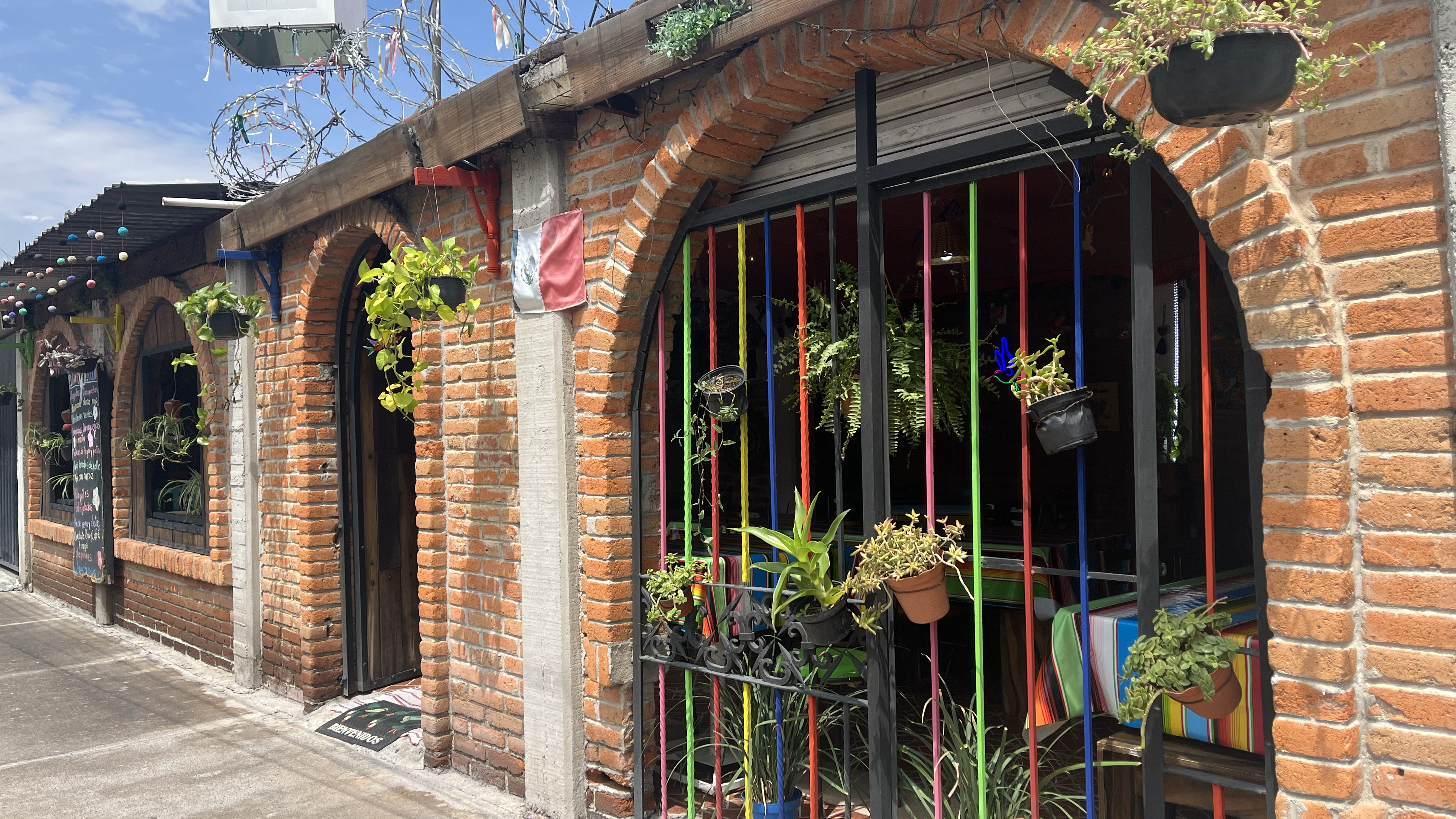 El Canto Del Colibrí image 1