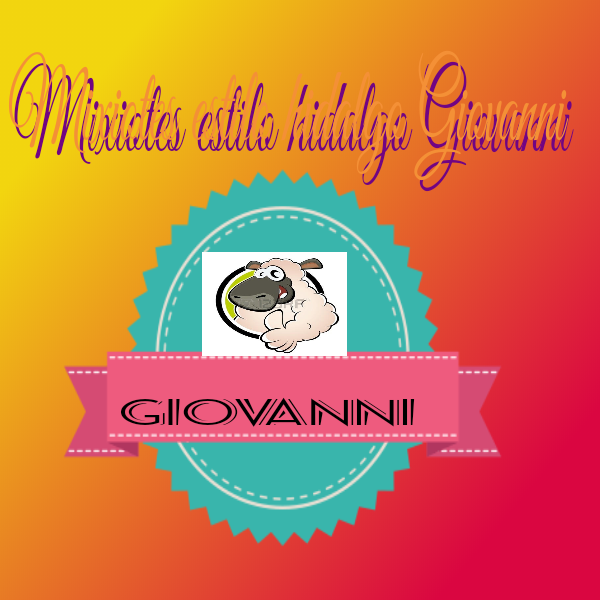 Mixiotes estilo hidalgo GIOVANNI image 5