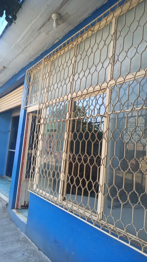 Restaurante Doña Celia image 1