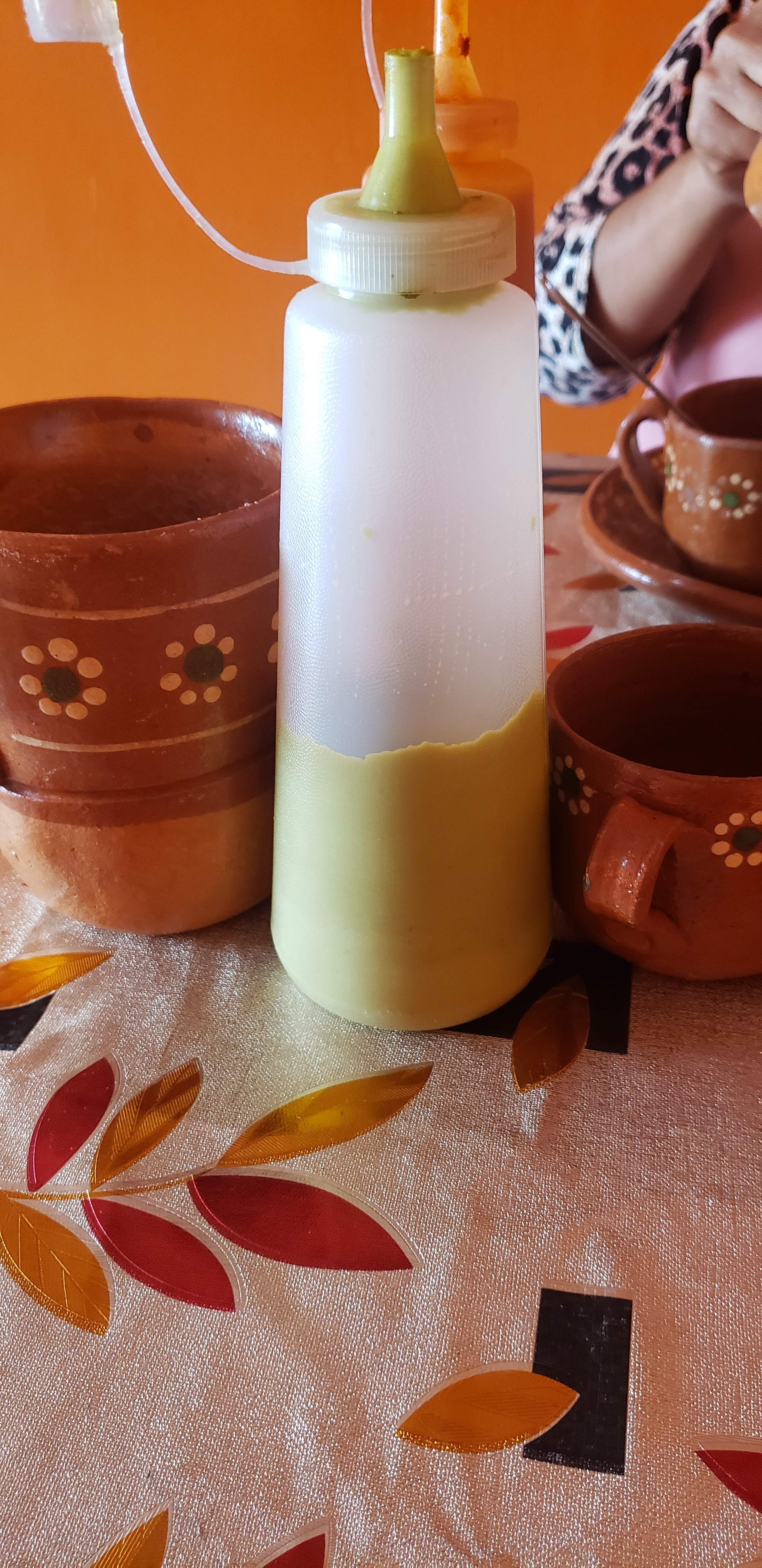 Guadalajara en chicali image 10