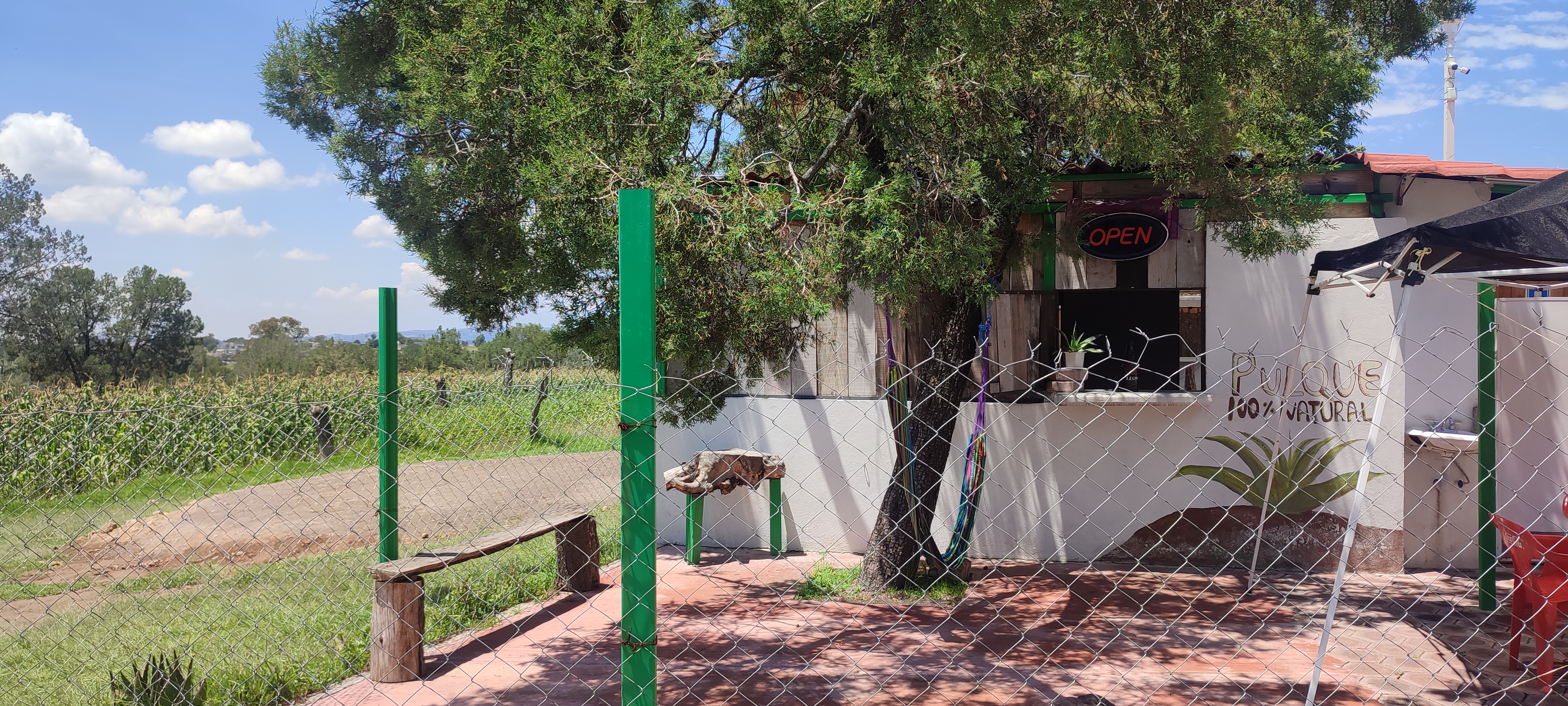 Restaurante Diosa del Maguey image 1