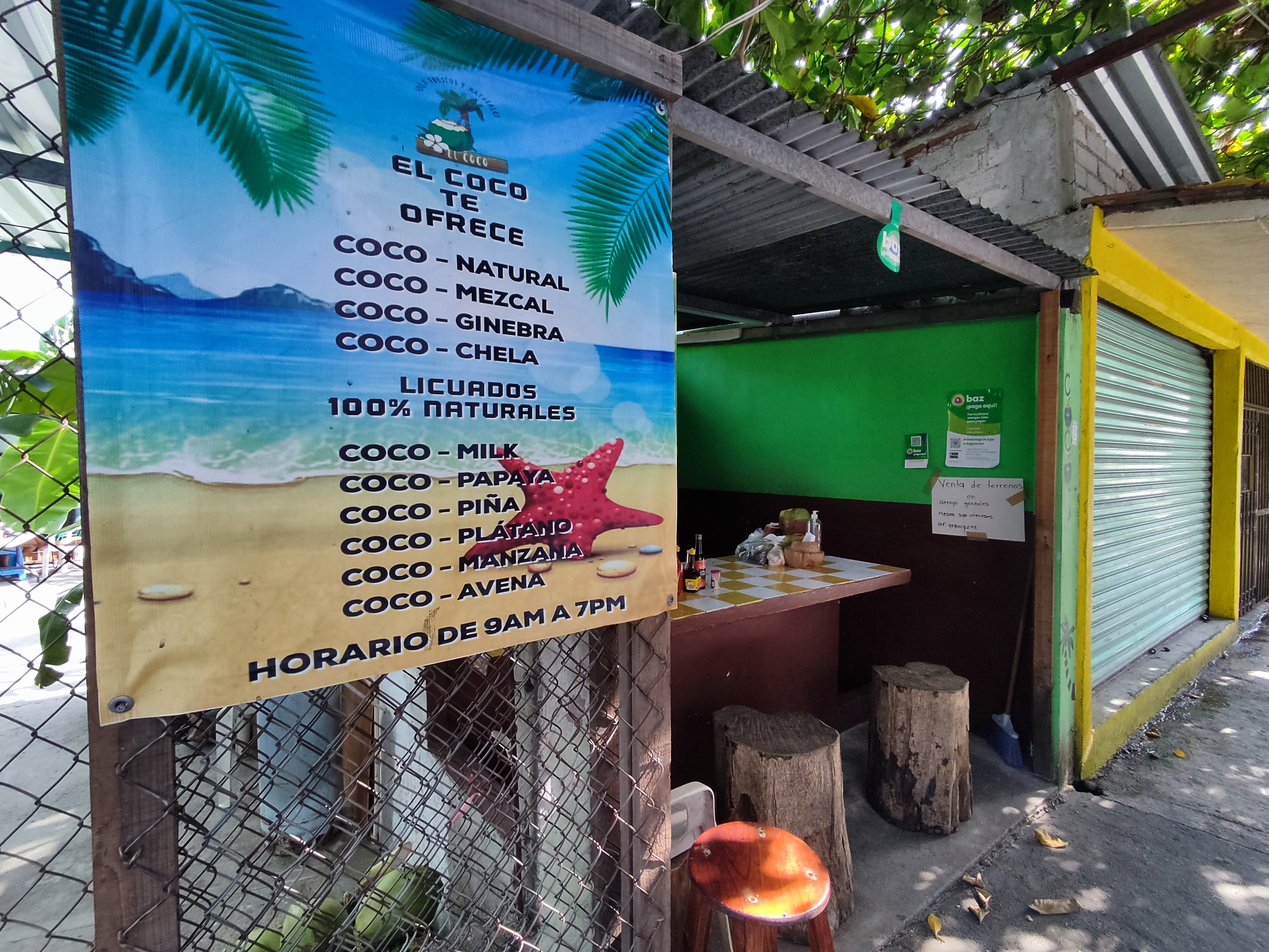 El coco chela huatulco image 7