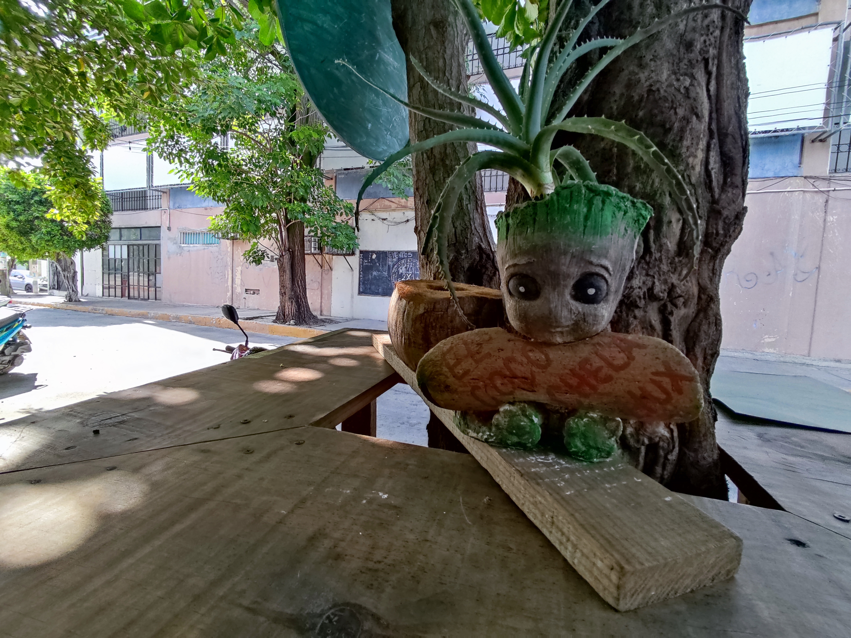 El coco chela huatulco image 8