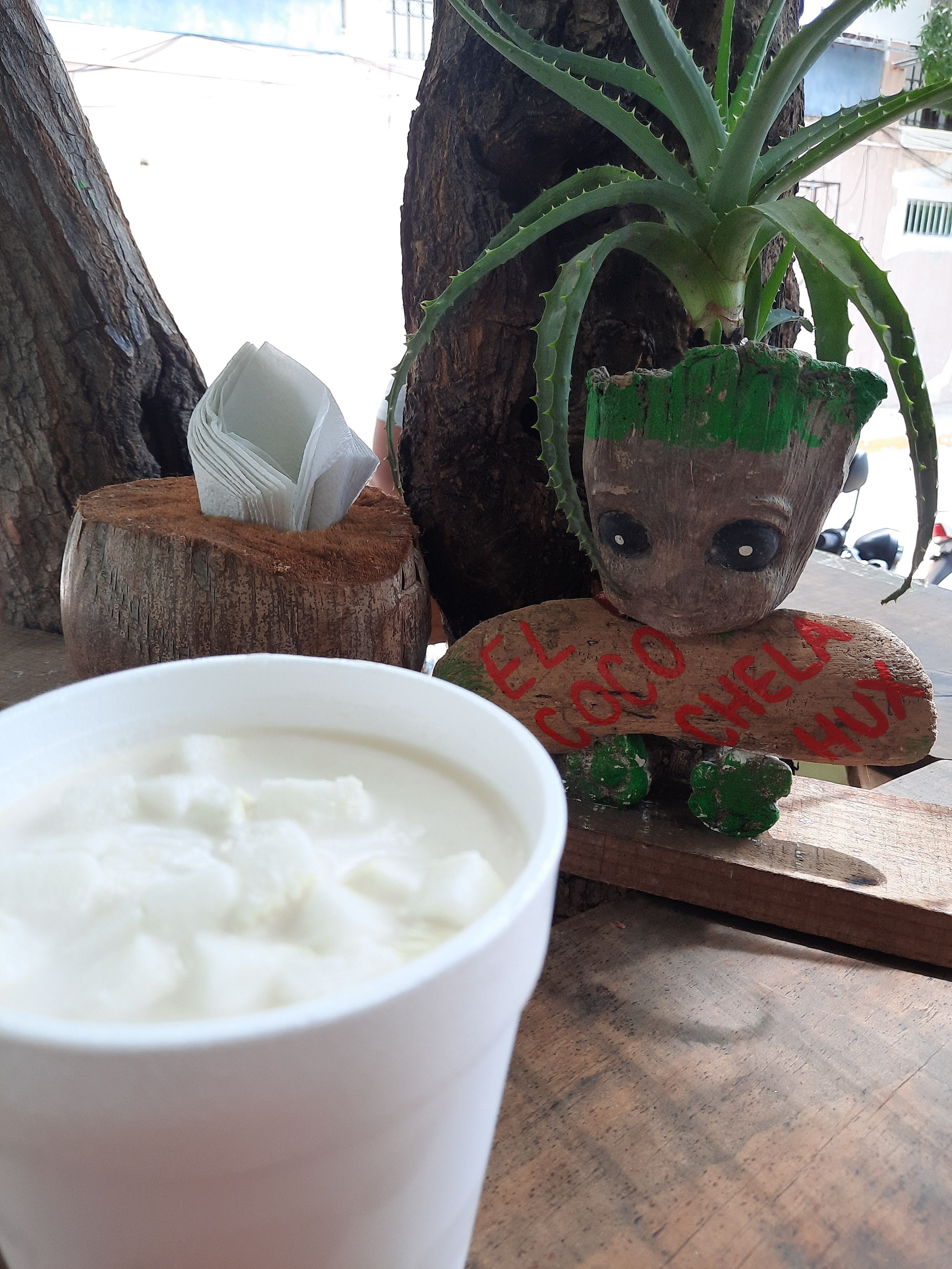 El coco chela huatulco image 9