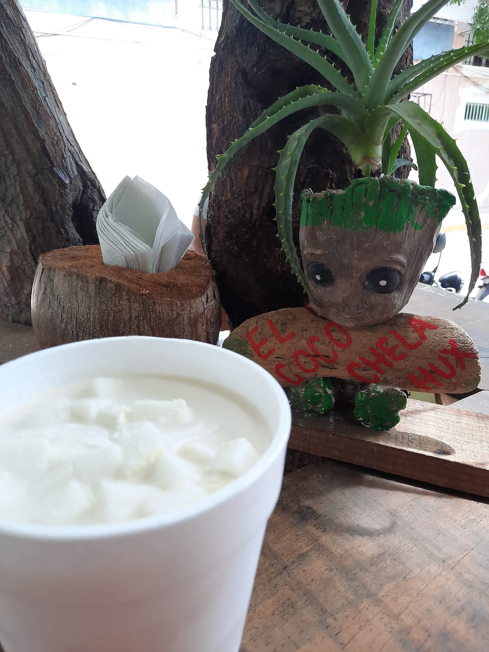 El coco chela huatulco image 9