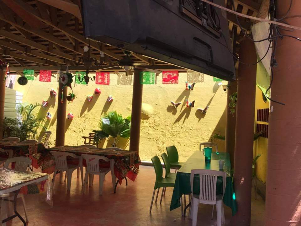 Pollos "Ninfa" image 10