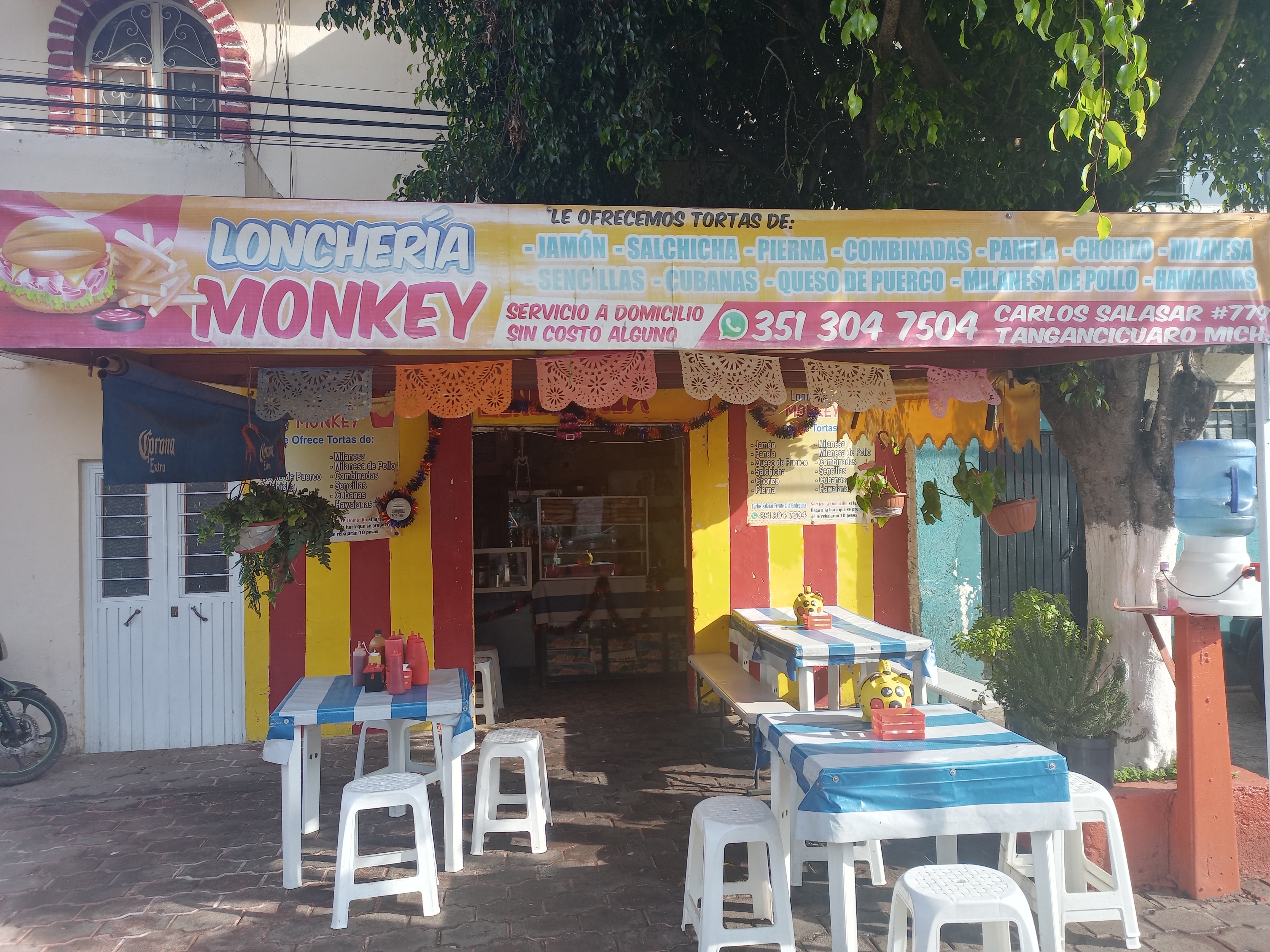 Loncheria monkey image 3