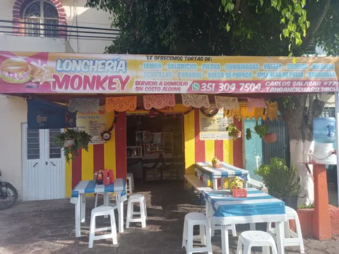 Loncheria monkey image 3