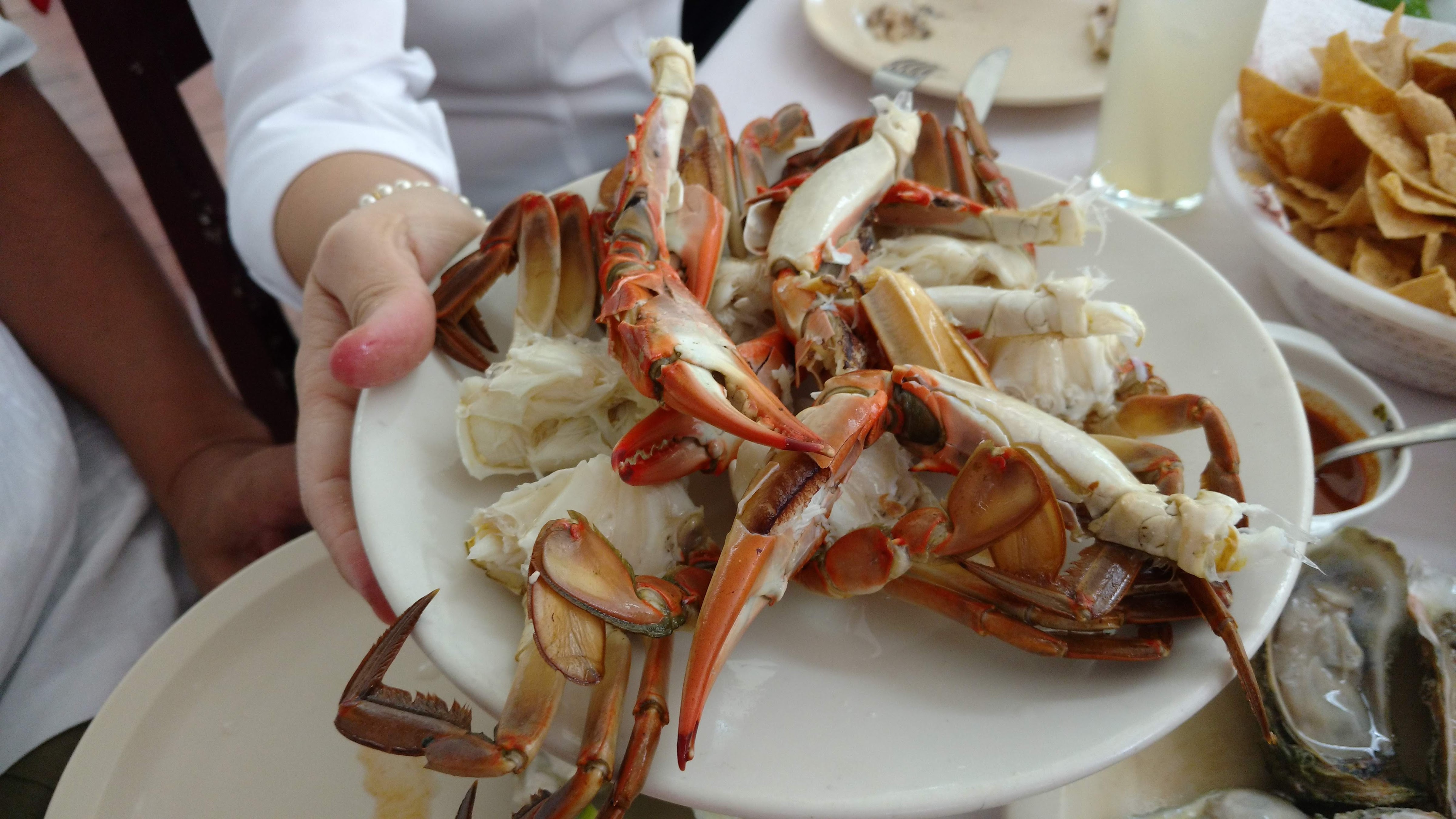 TORTAS DE CANASTA LA OSADIA ll image 2