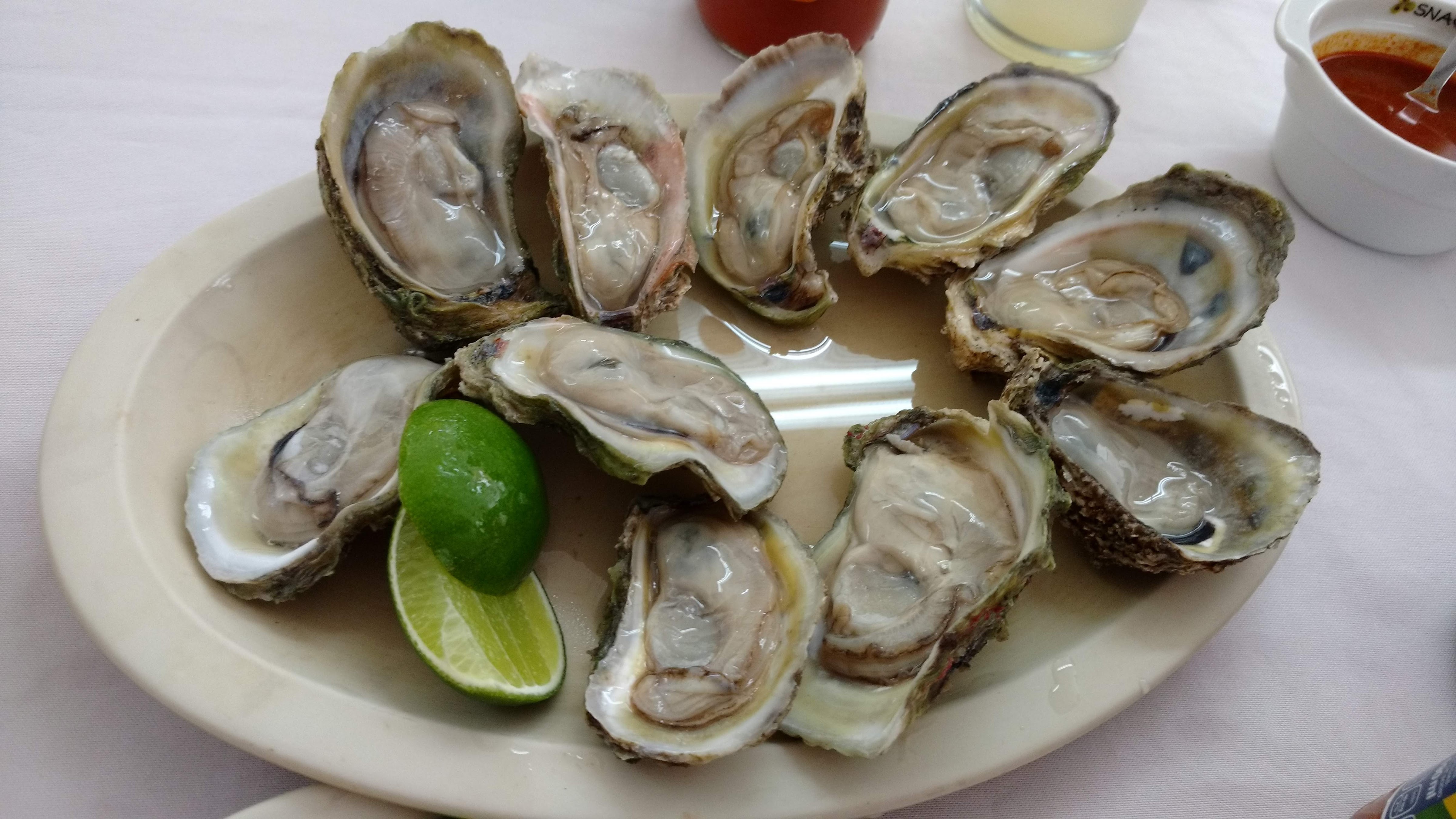 TORTAS DE CANASTA LA OSADIA ll image 4