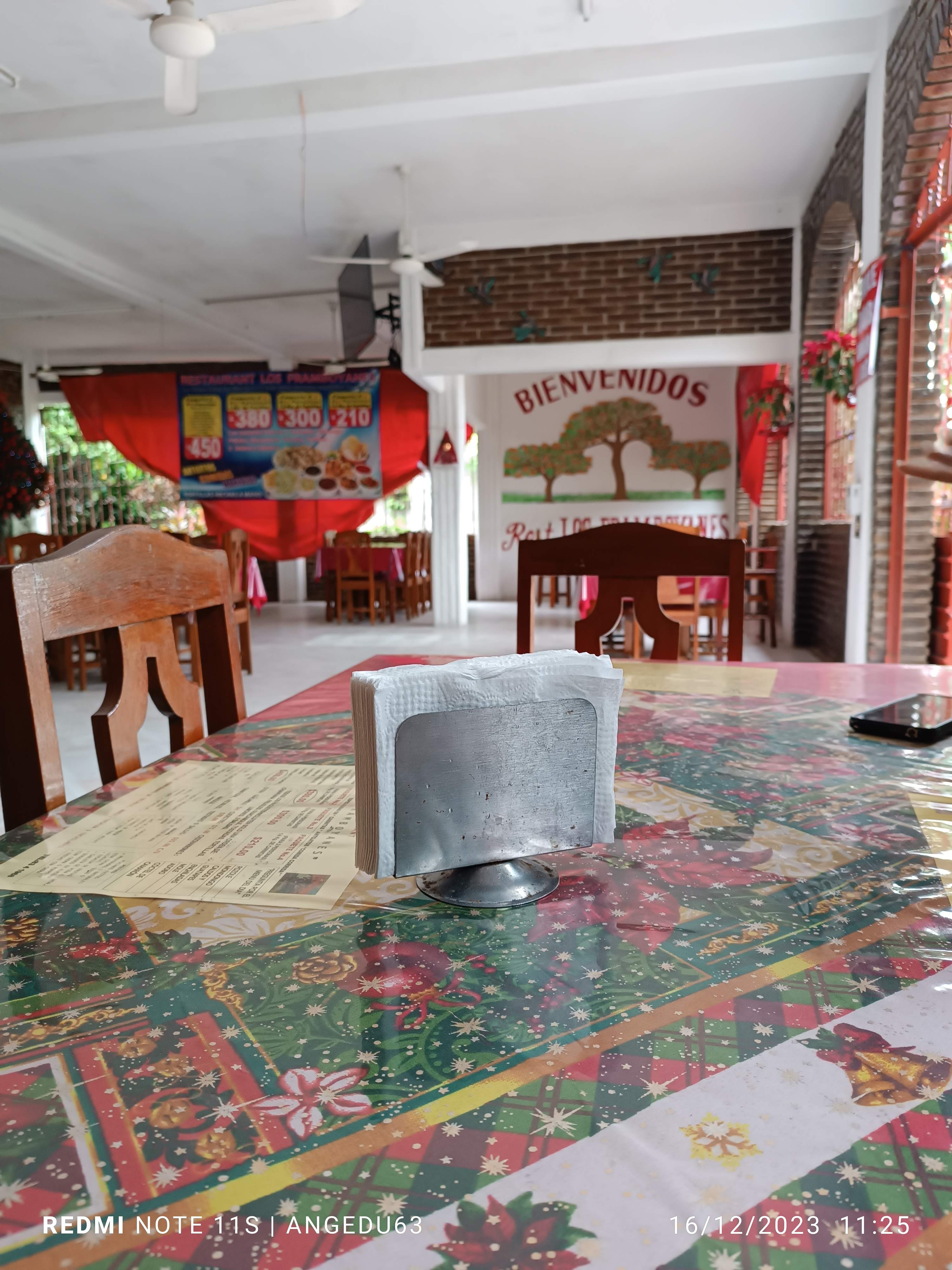 Los Framboyanes image 5