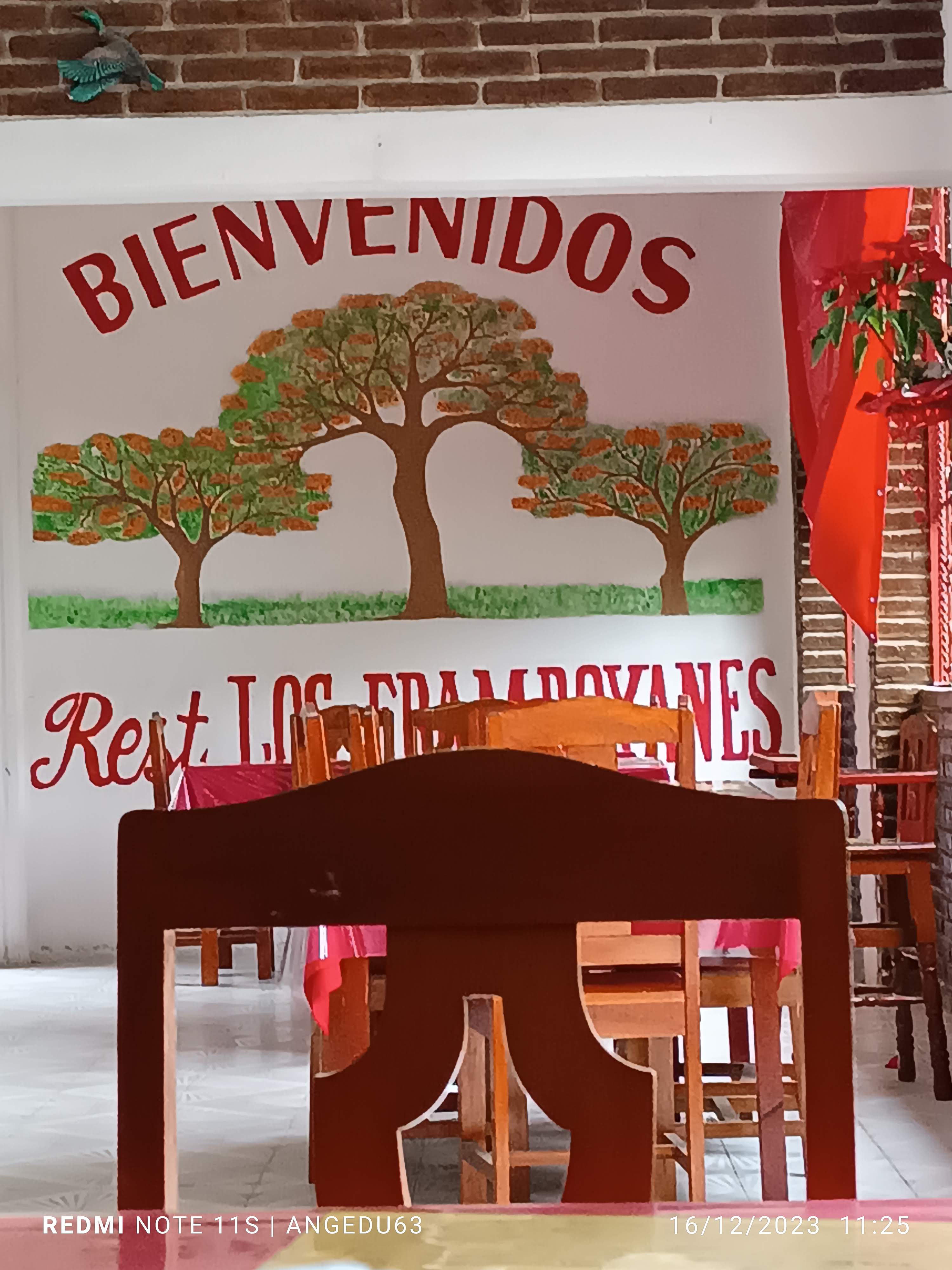 Los Framboyanes image 8