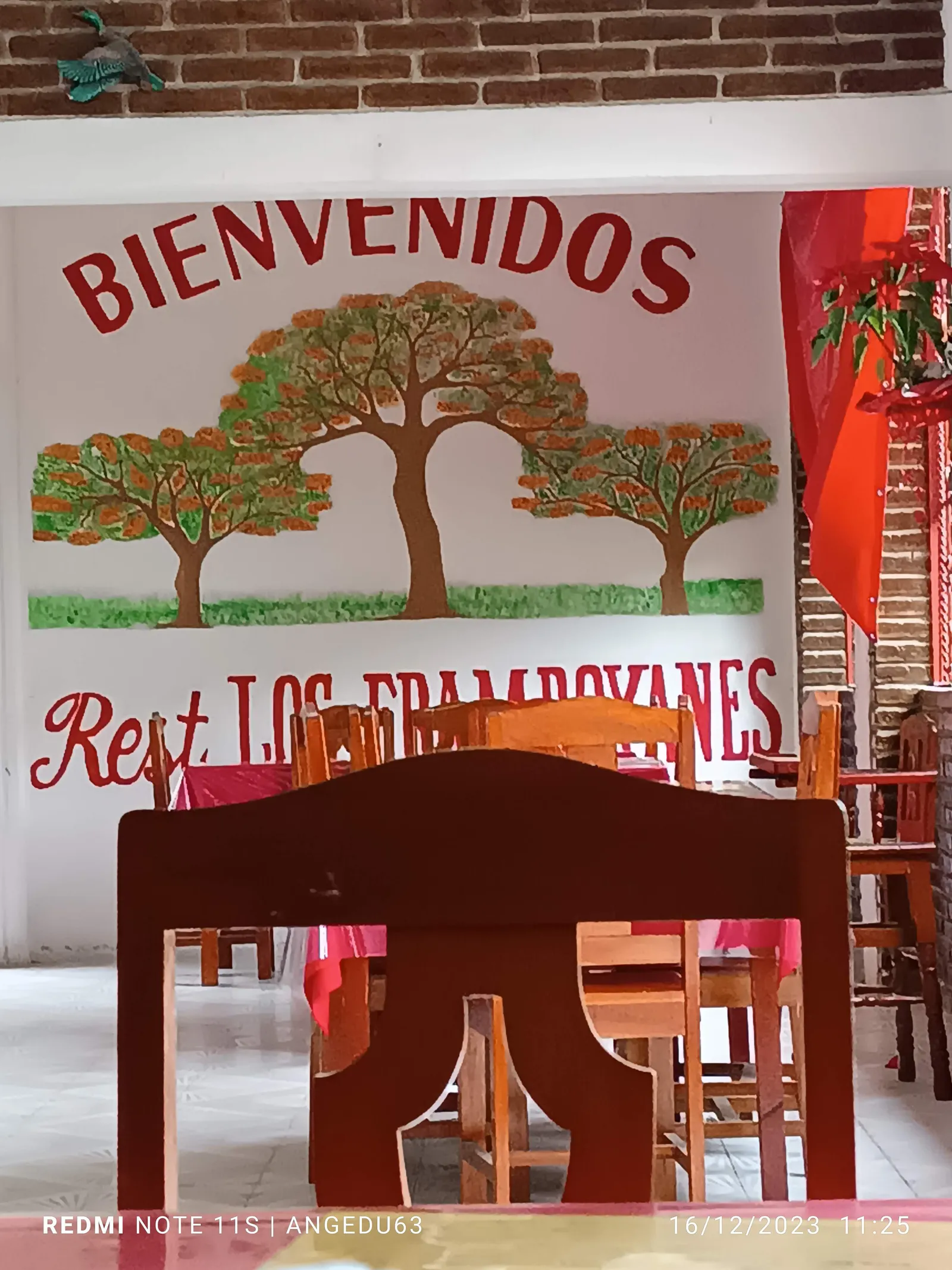 Los Framboyanes image 8
