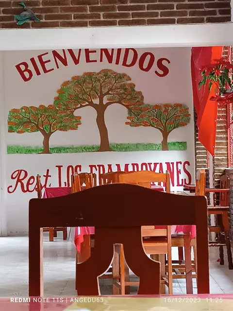 Los Framboyanes image 8