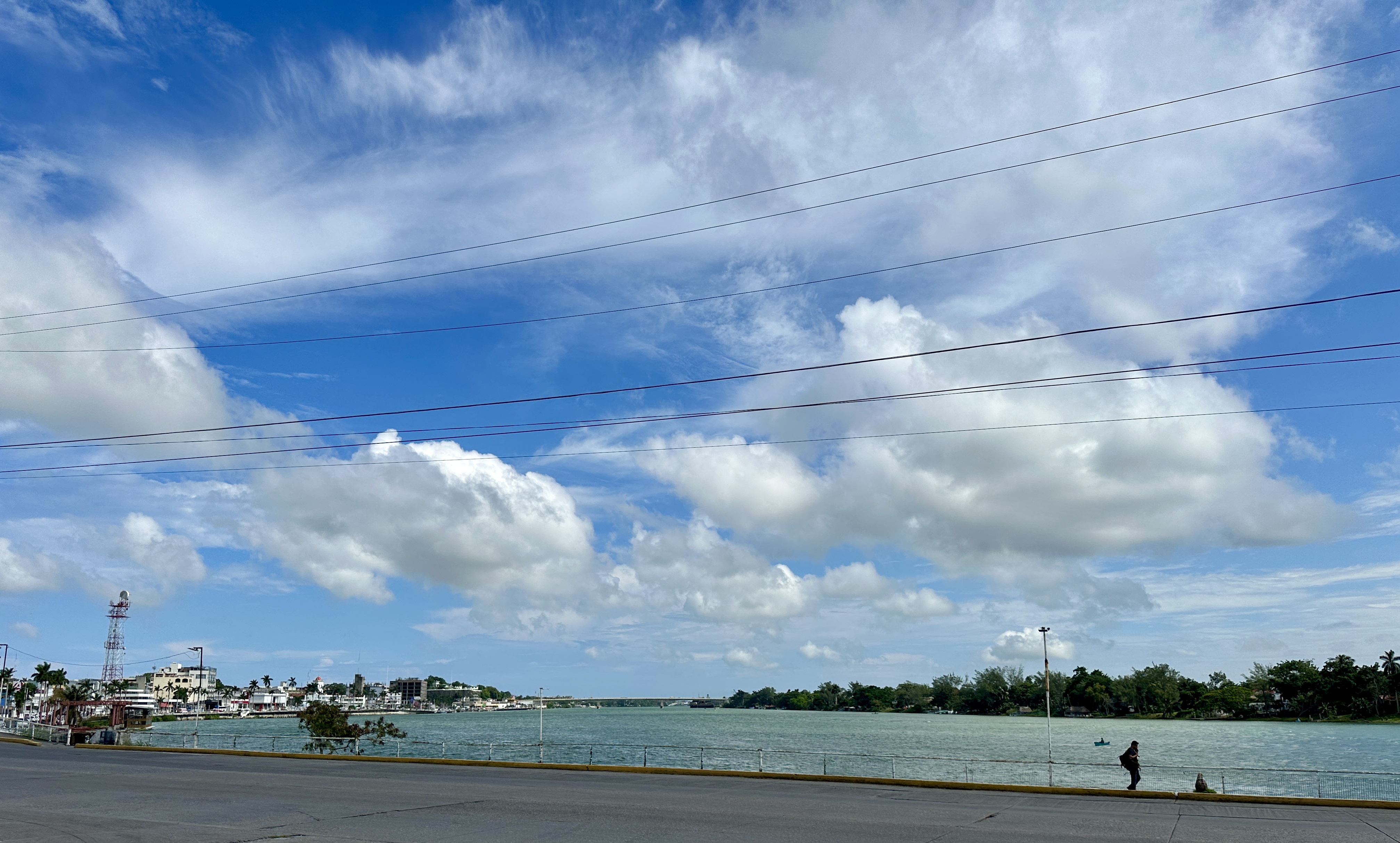 La cochinita con Mare Suc. Tuxpan image 2