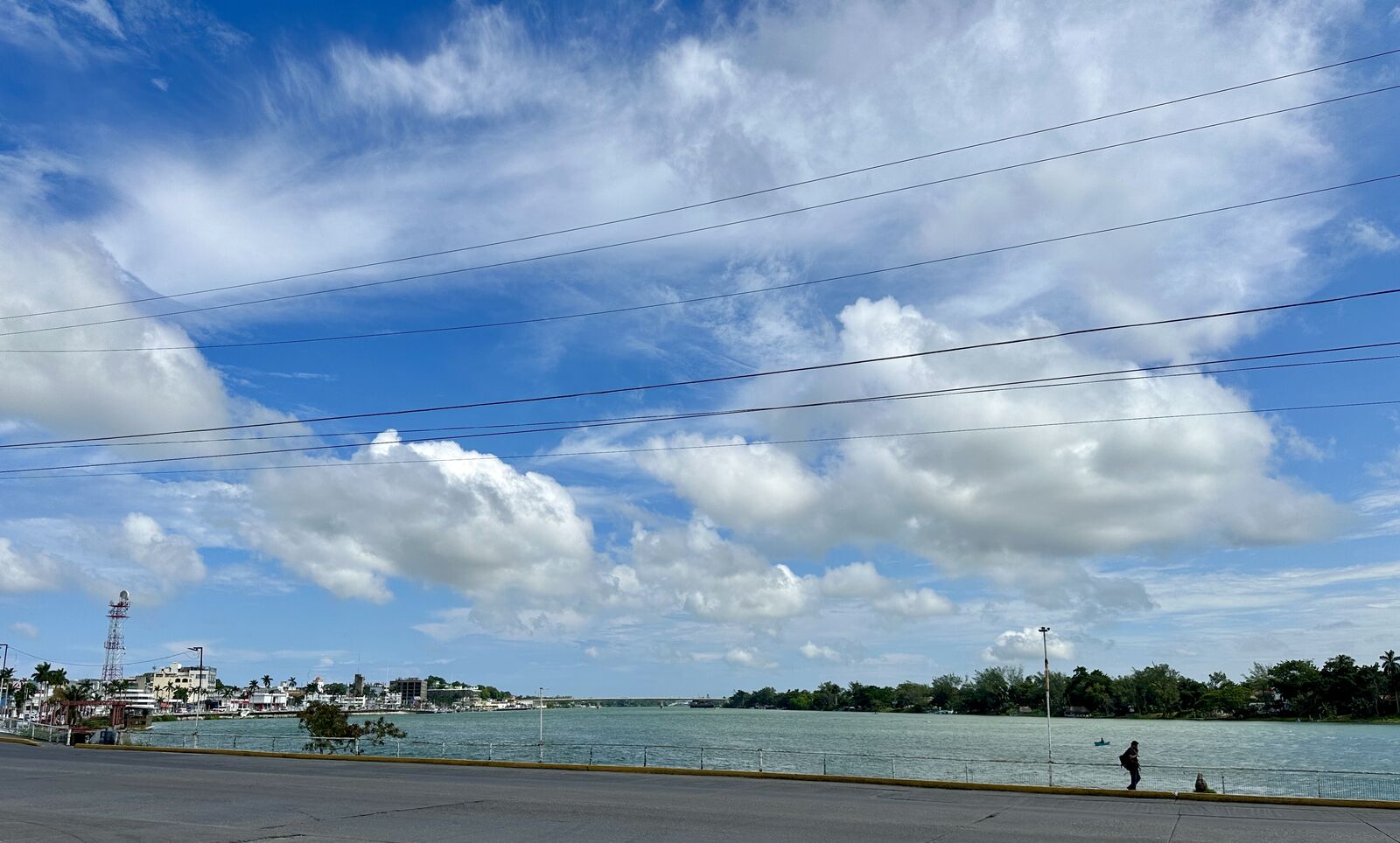 La cochinita con Mare Suc. Tuxpan image 2