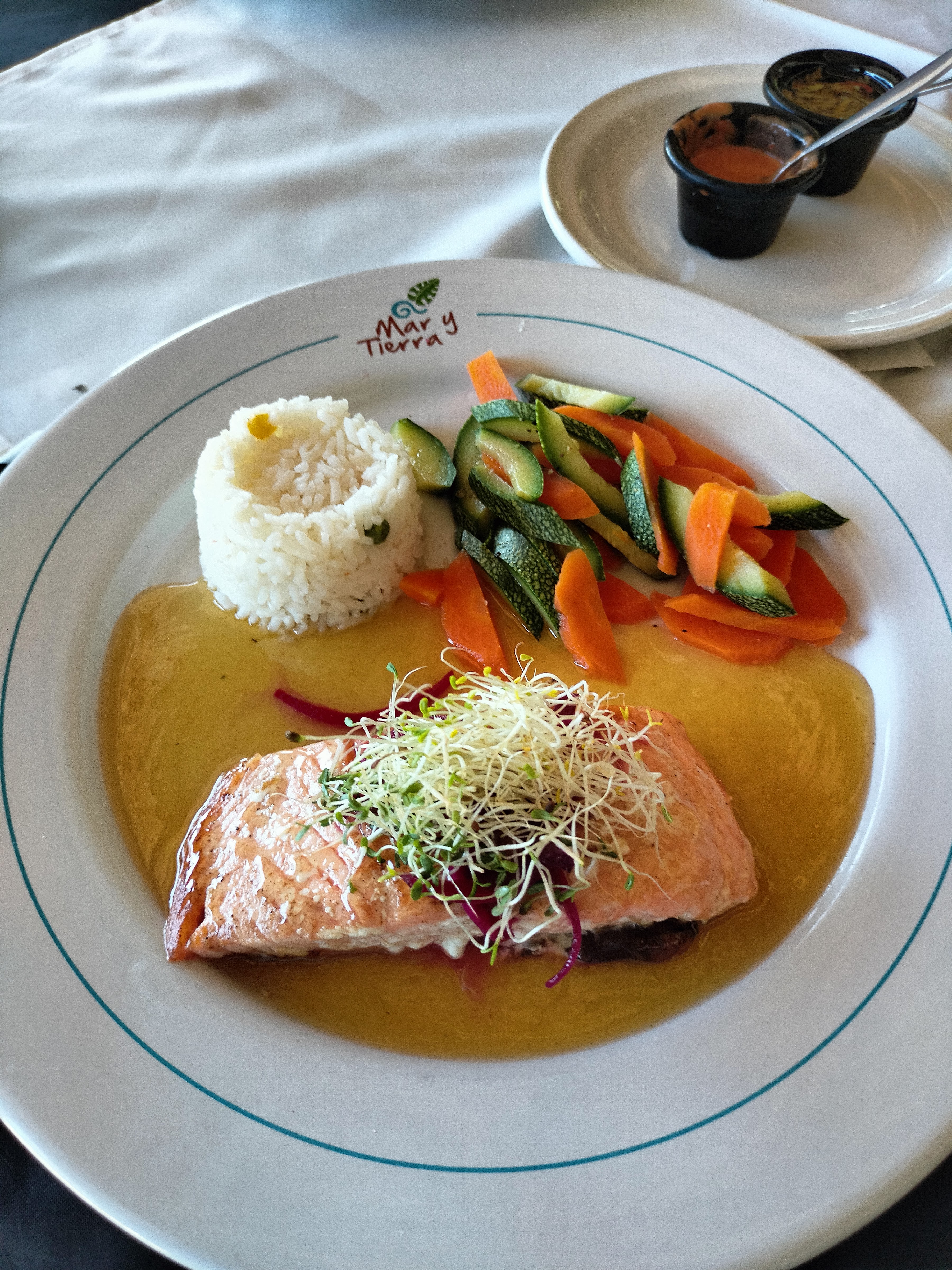 Mar y Tierra image 2