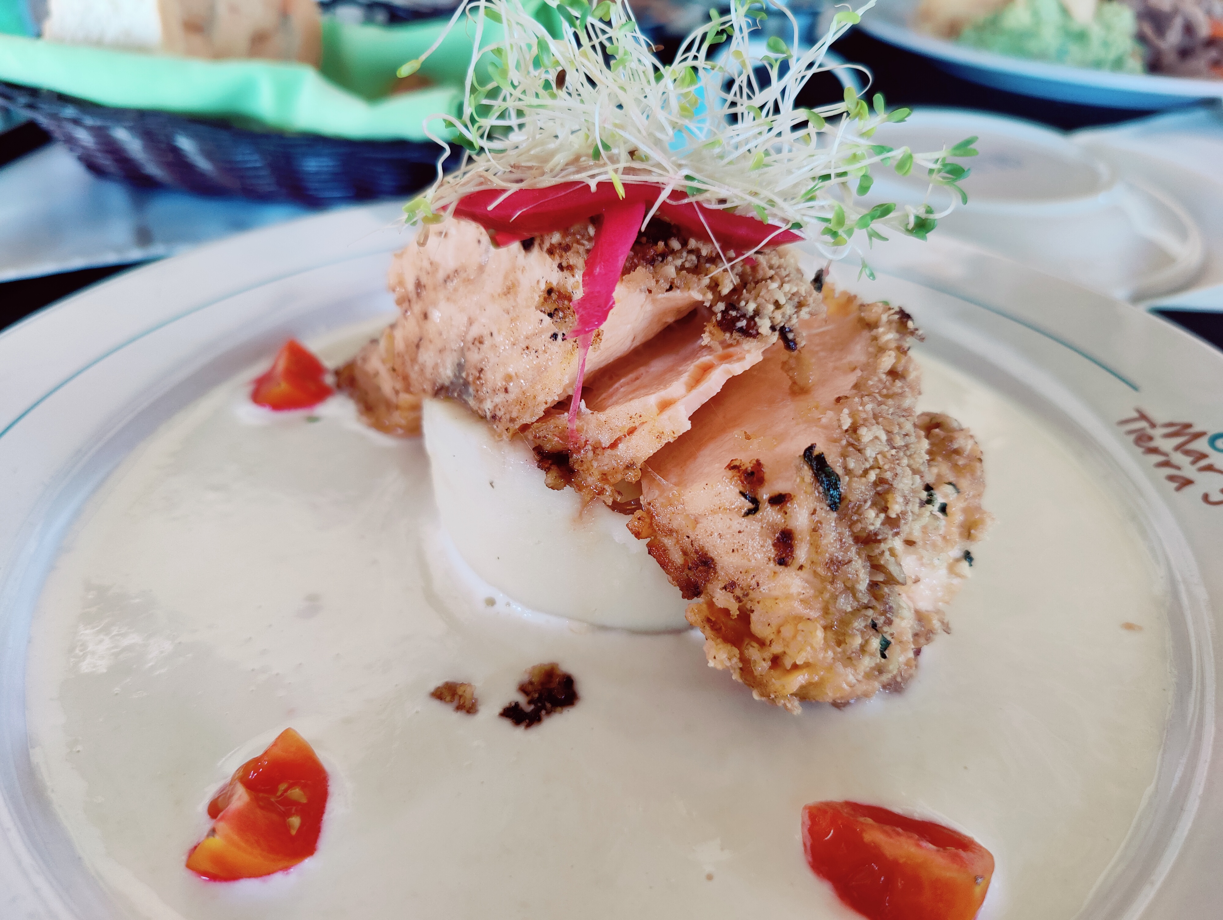 Mar y Tierra image 8