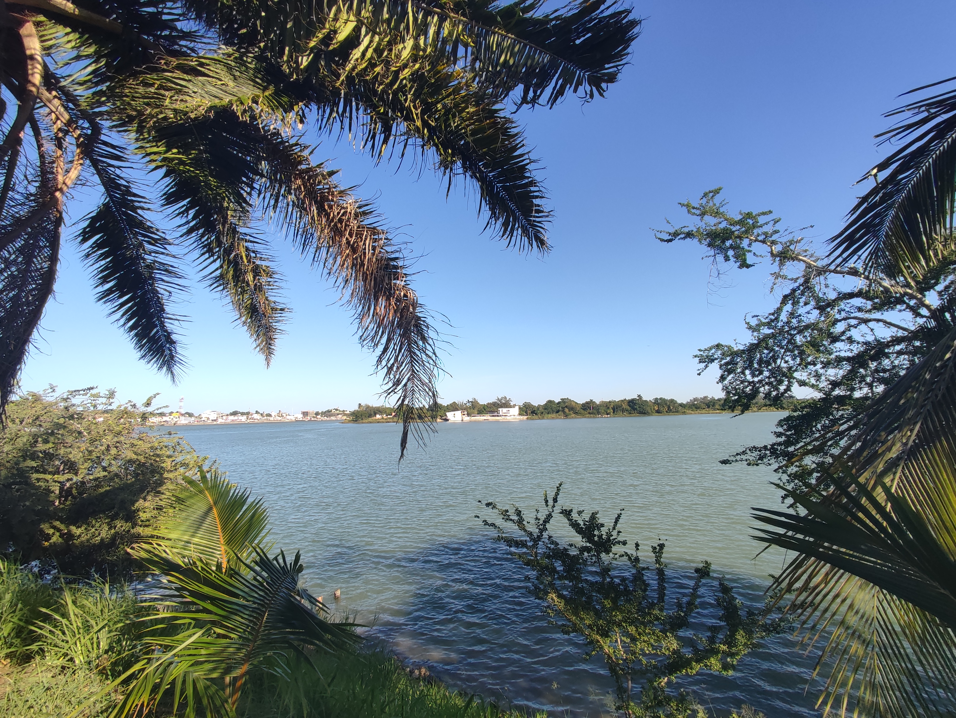 Mar y Tierra image 9