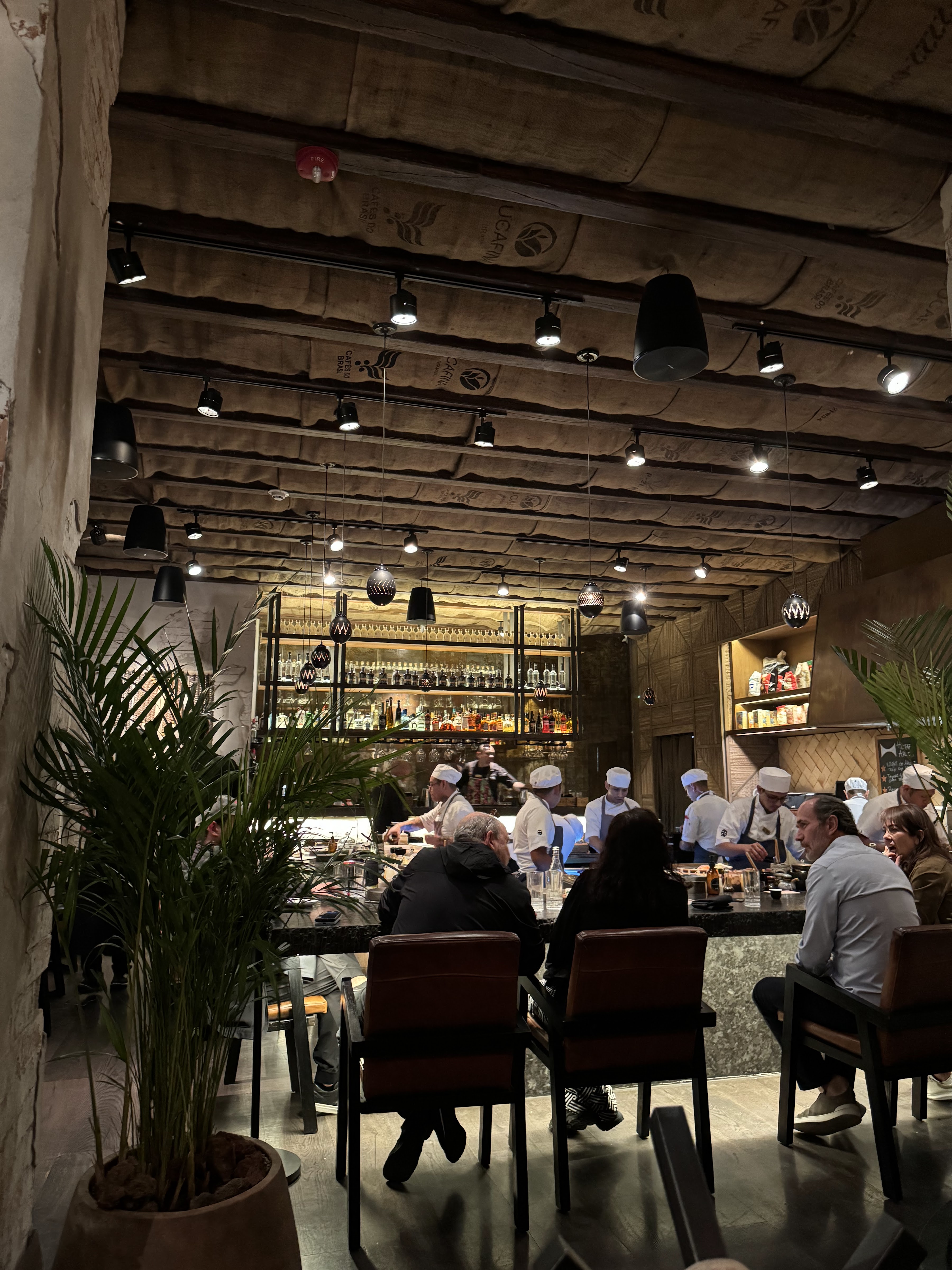 Hotaru Arcos image 1