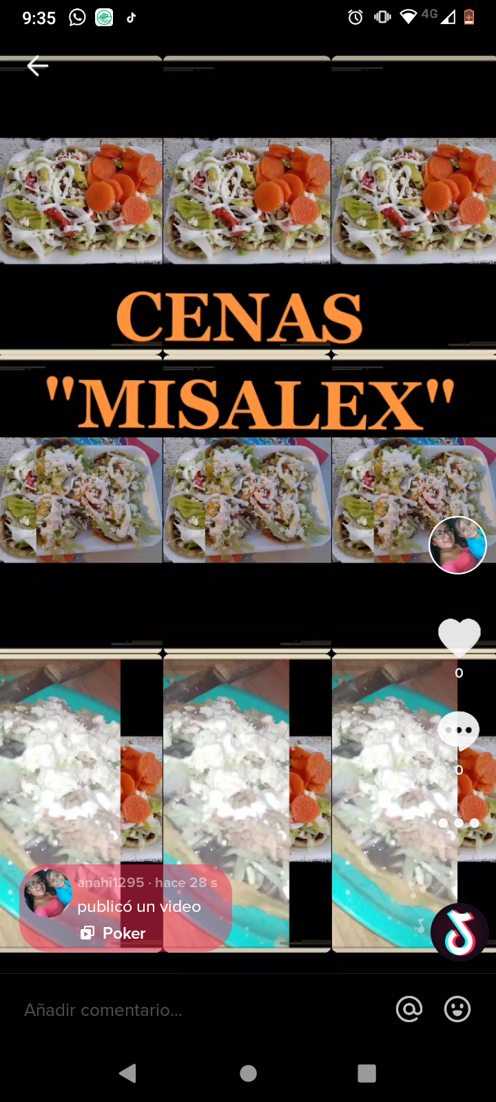 CENAS *MISALEX* image 1