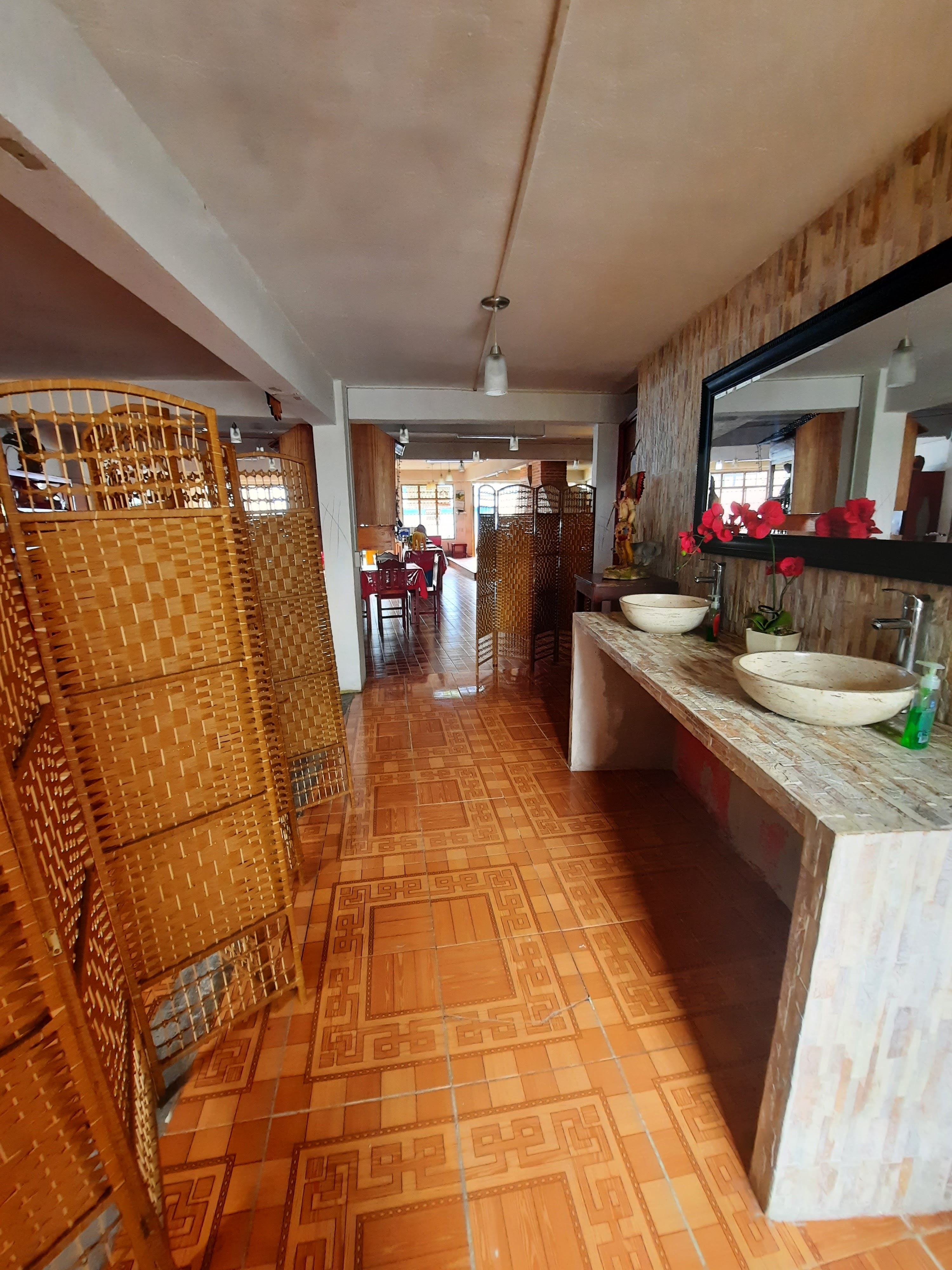 Rey De La Selva image 3