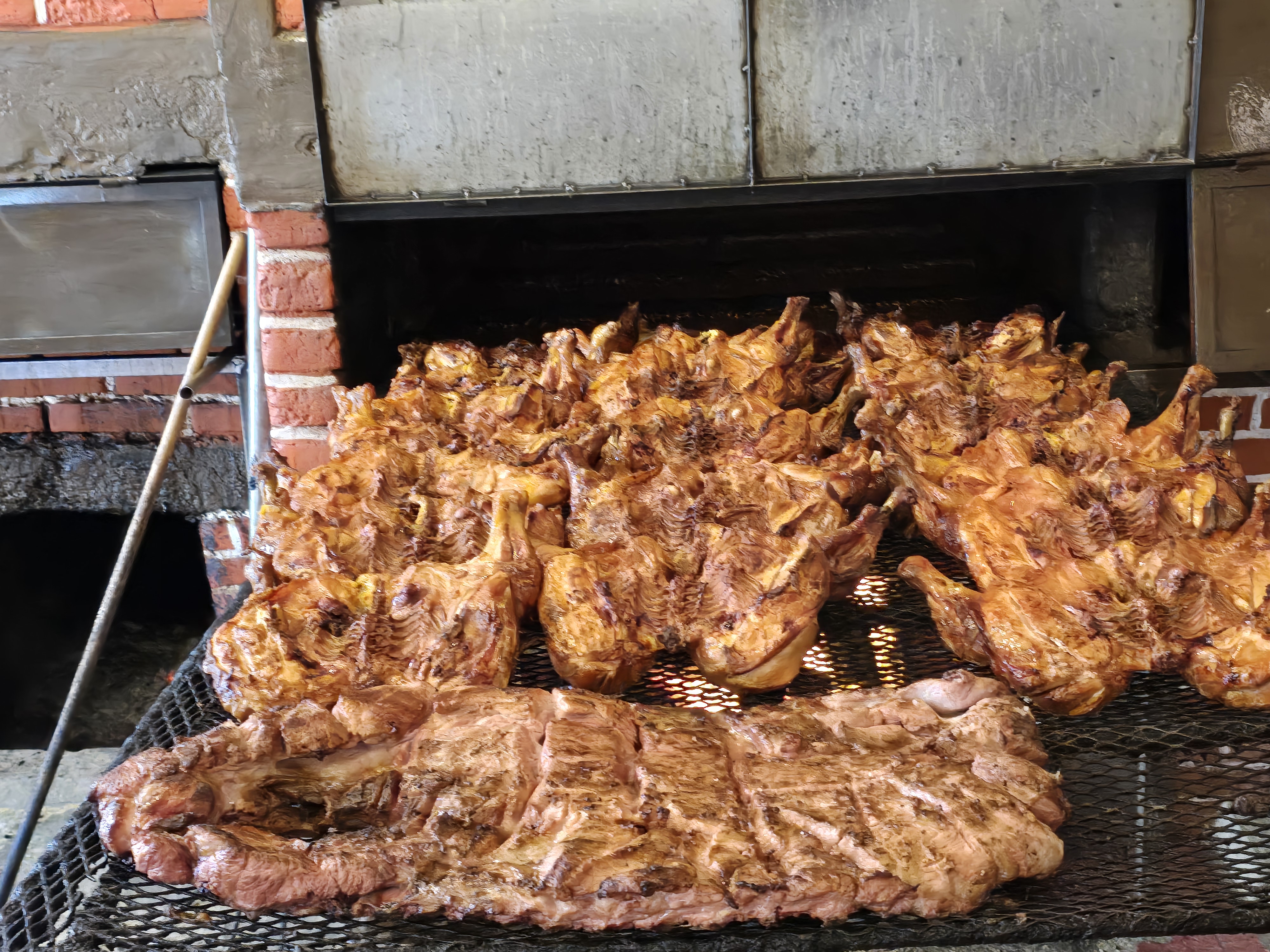 Rey De La Selva image 5