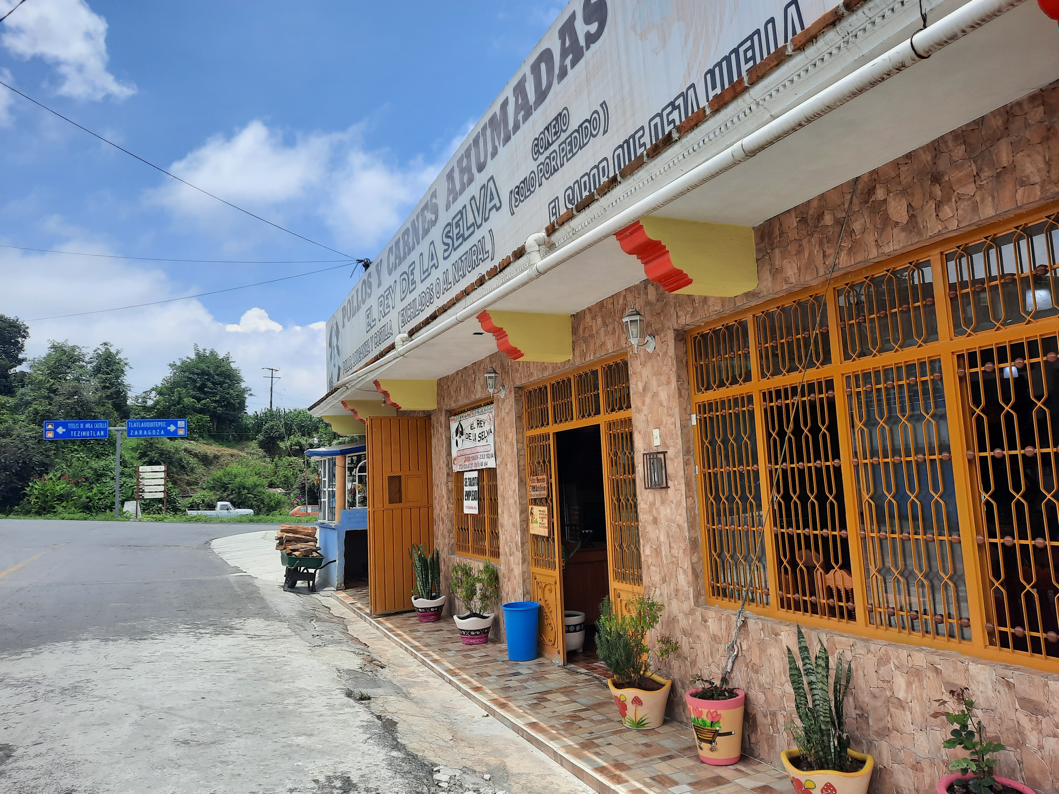 Rey De La Selva image 6