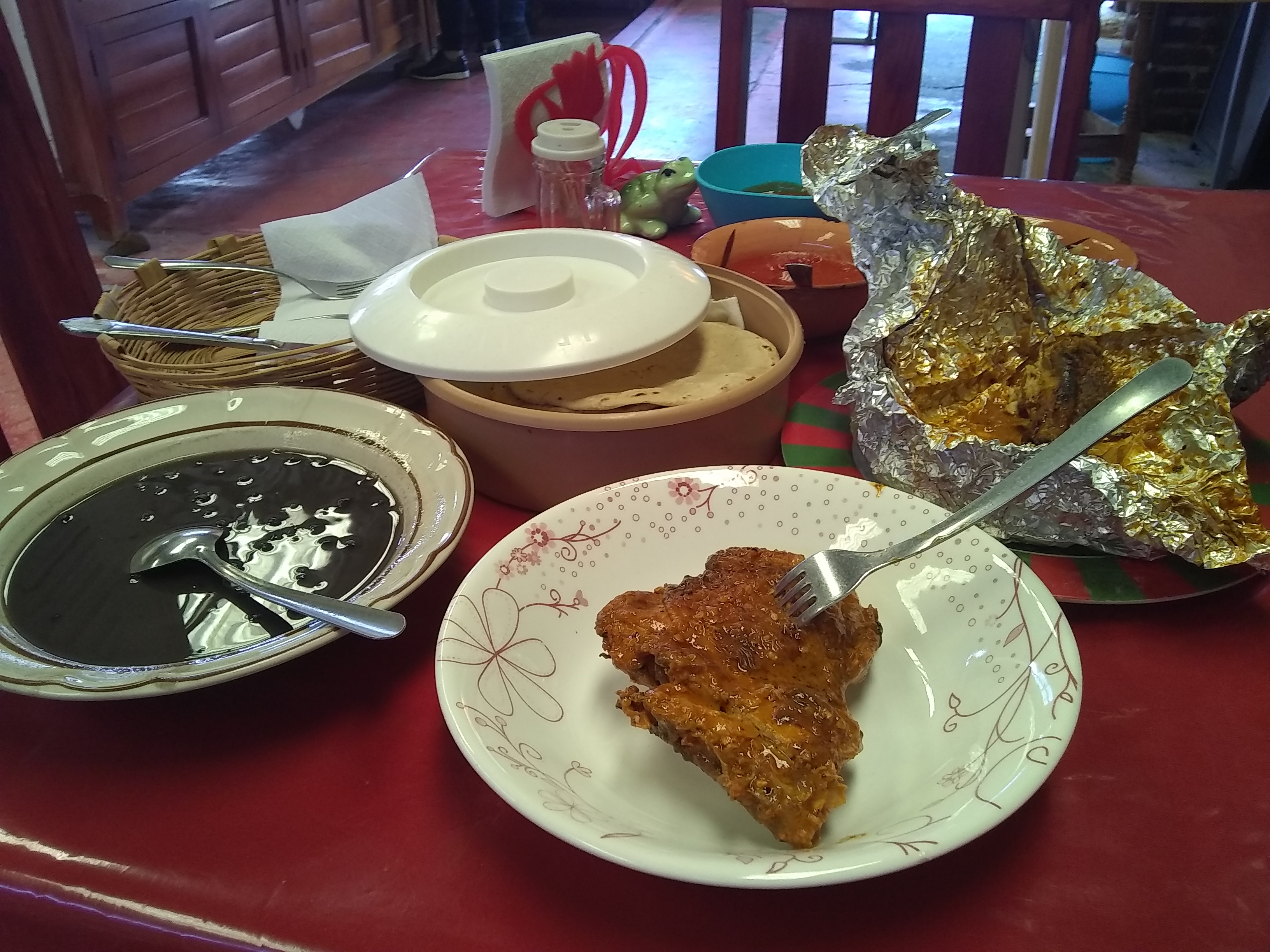 Rey De La Selva image 8