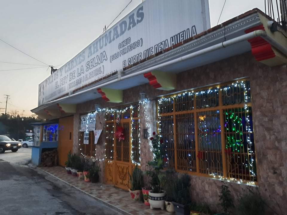 Rey De La Selva image 10