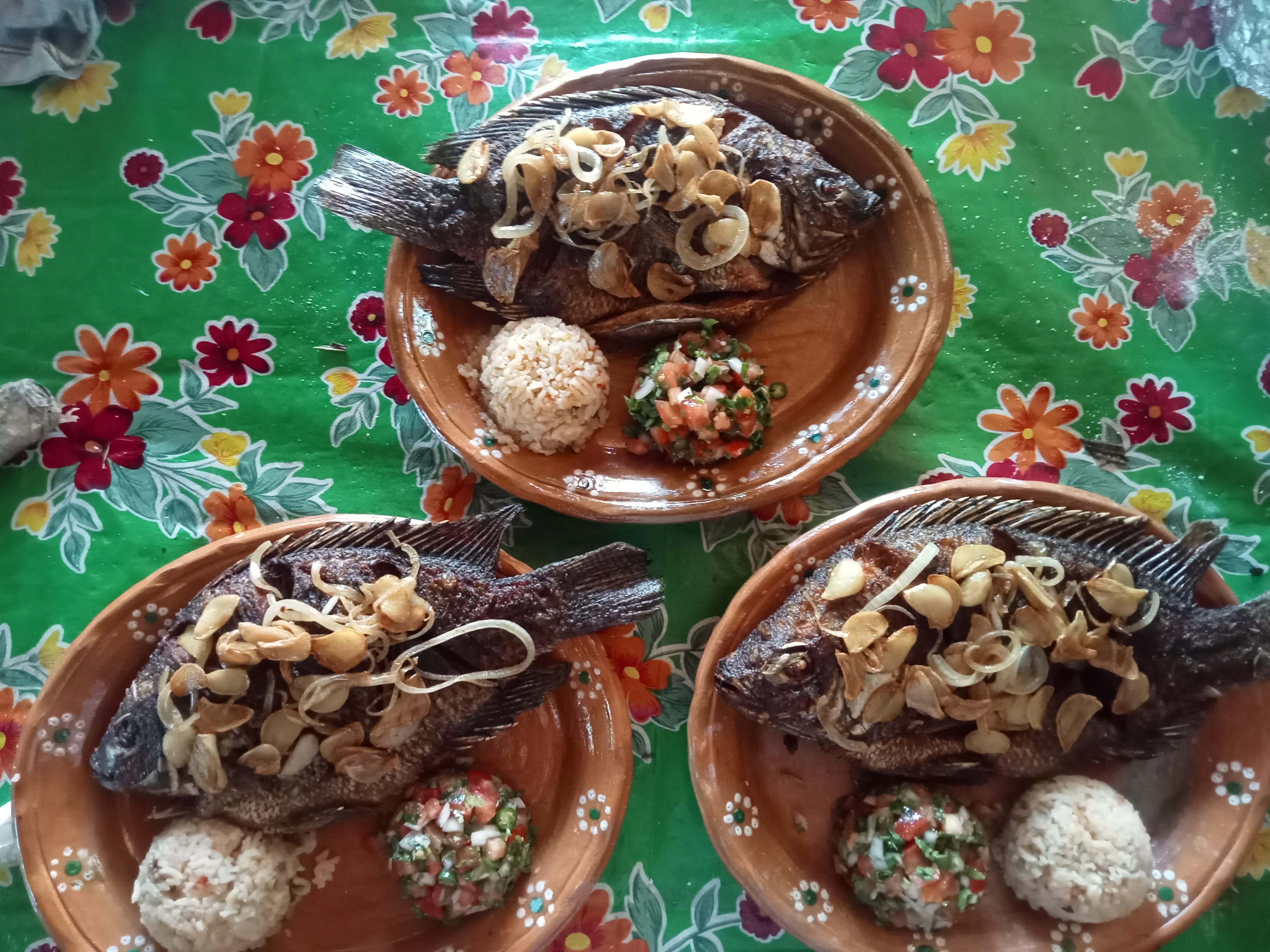 Palapa La Mojarrita image 2