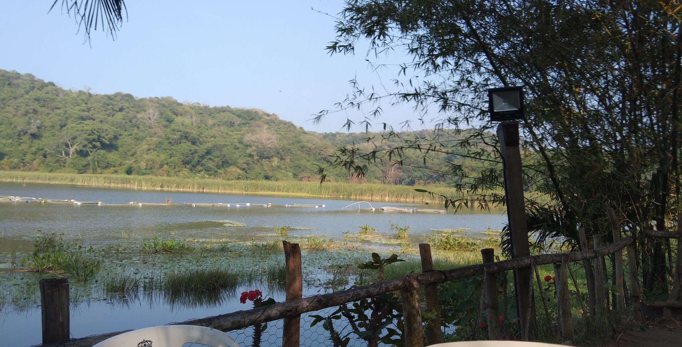 Palapa La Mojarrita image 5