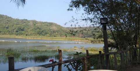 Palapa La Mojarrita image 5