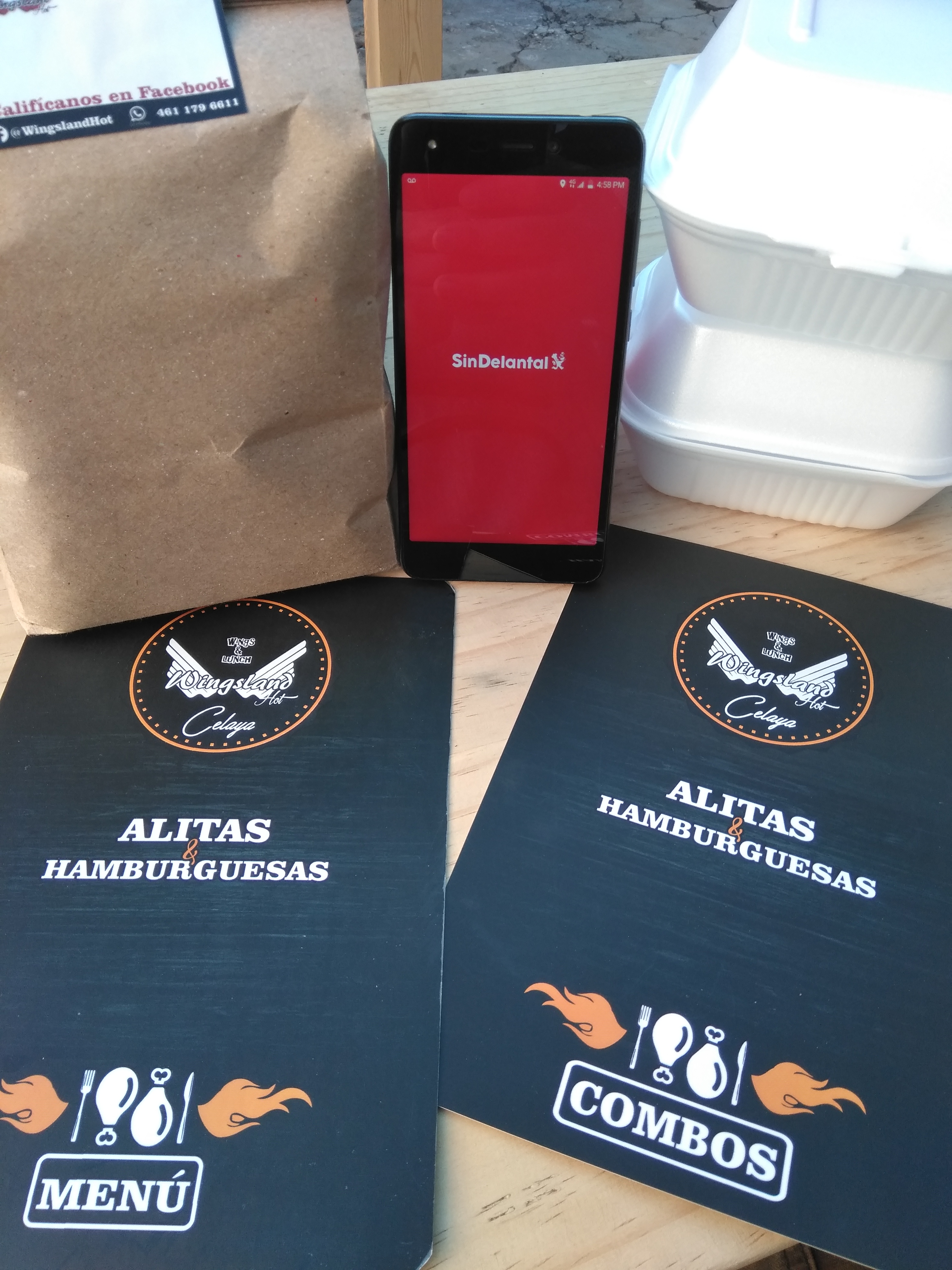 Wingsland Hot image 3