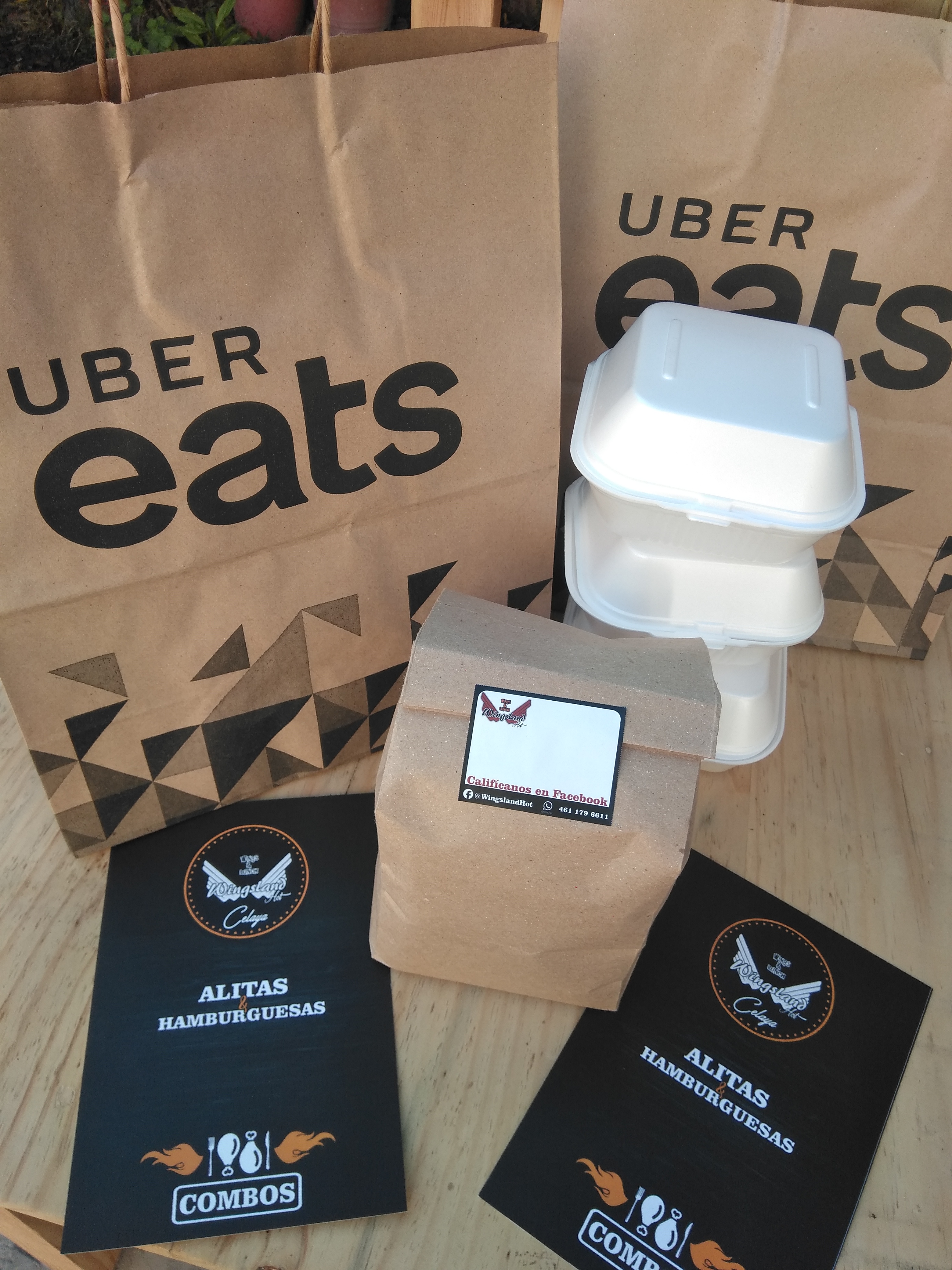 Wingsland Hot image 4