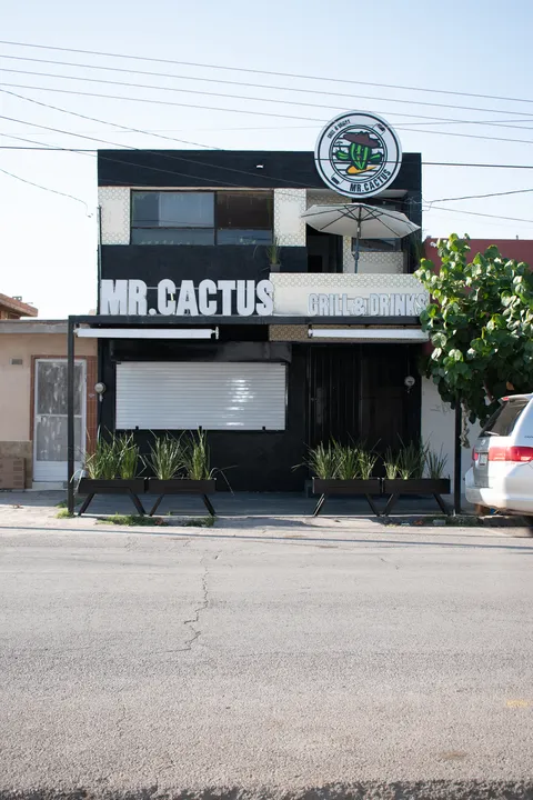 Mr.Cactus Restaurant Birria y chilaquiles image 1