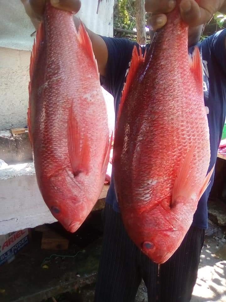 Restaurant Juanita La Güera image 9