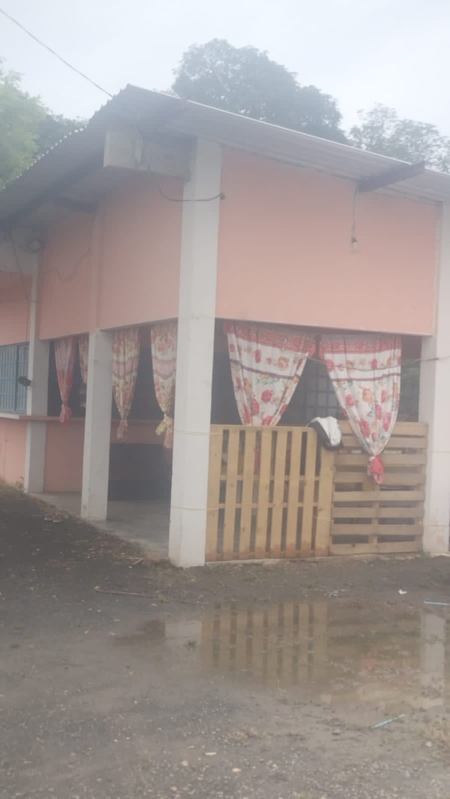 Comedor las palomas image 7