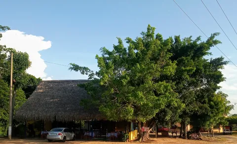 El Pollo Campero image 2