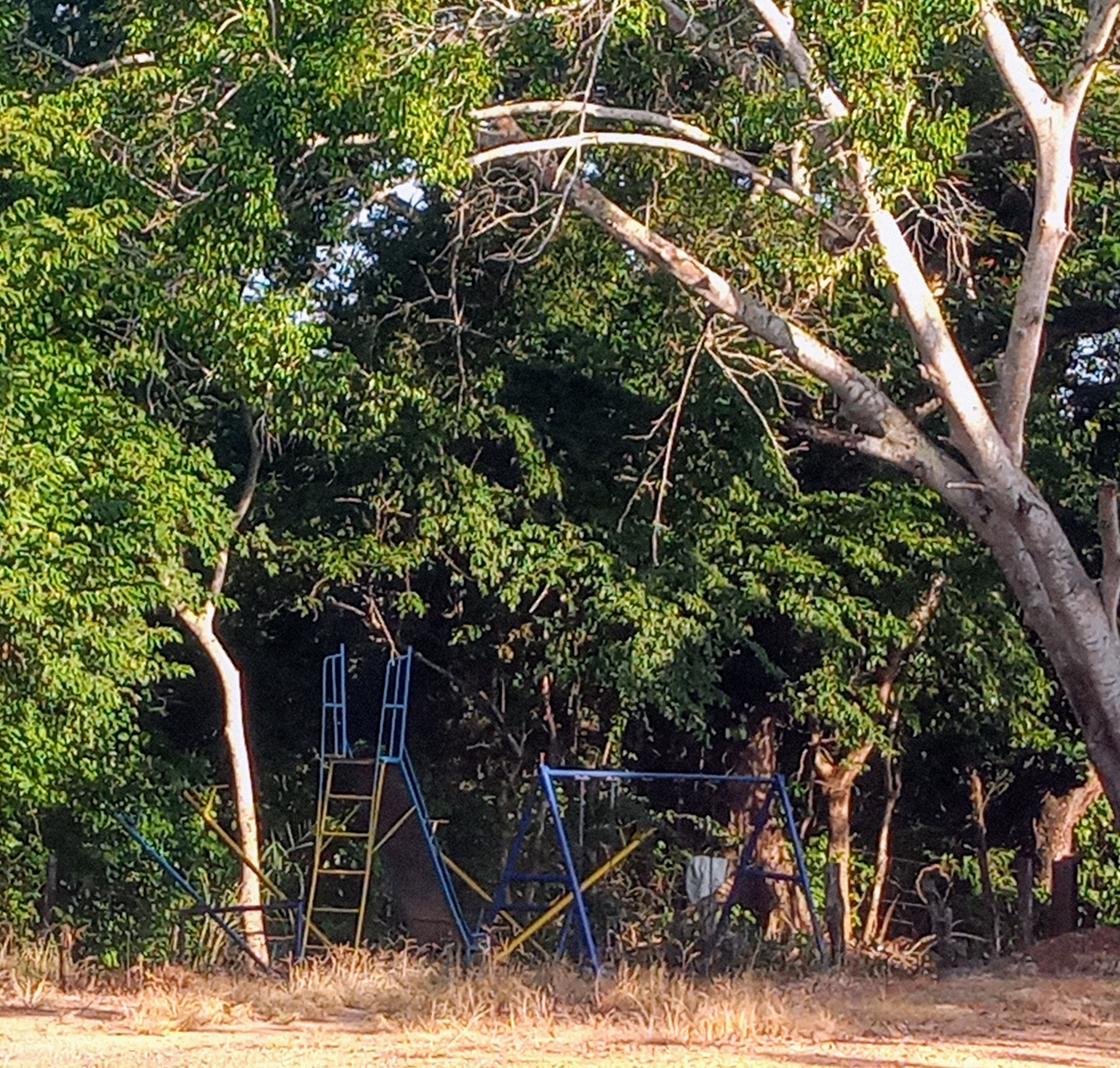 El Pollo Campero image 5