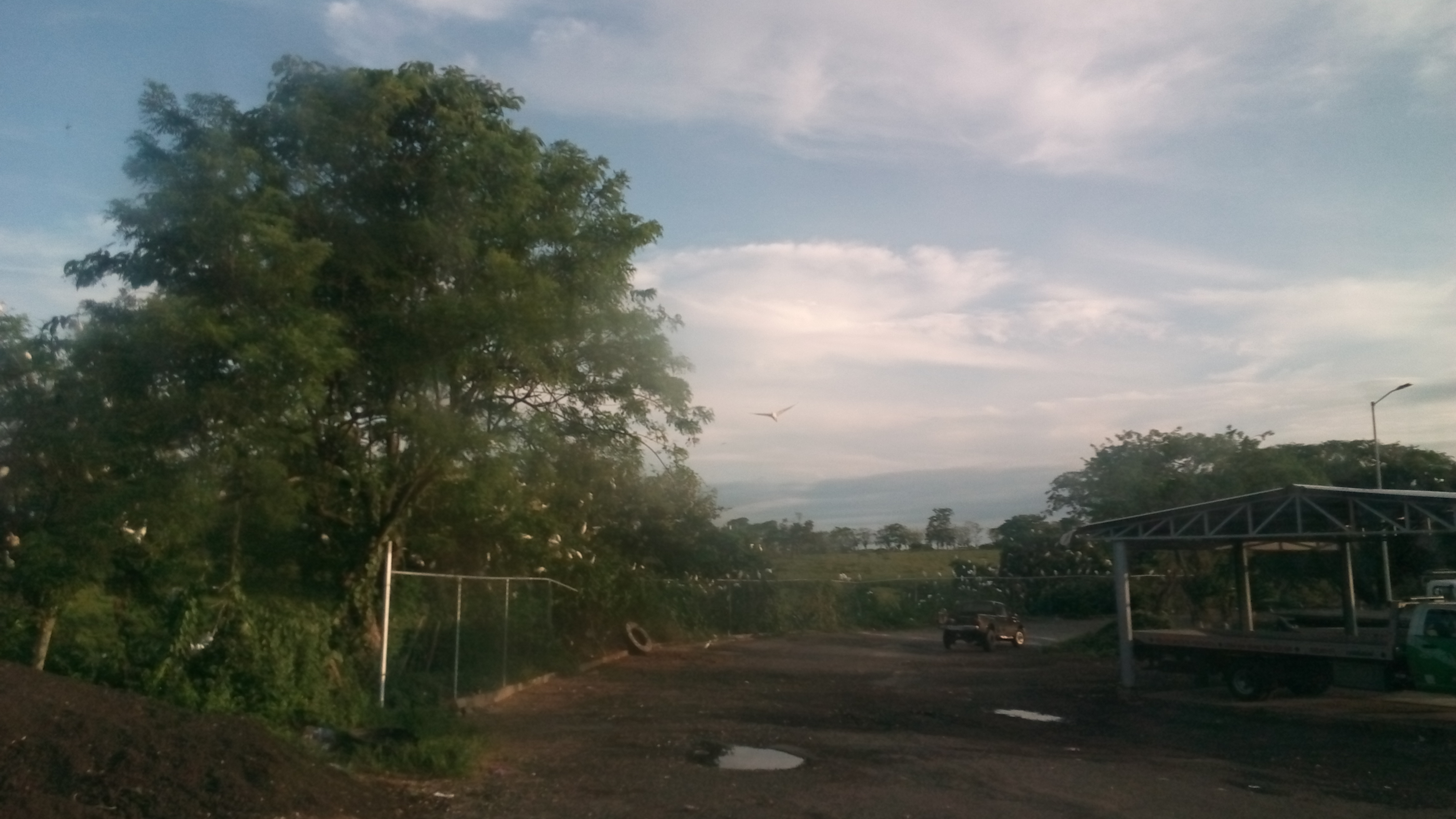 El Pollo Campero image 6